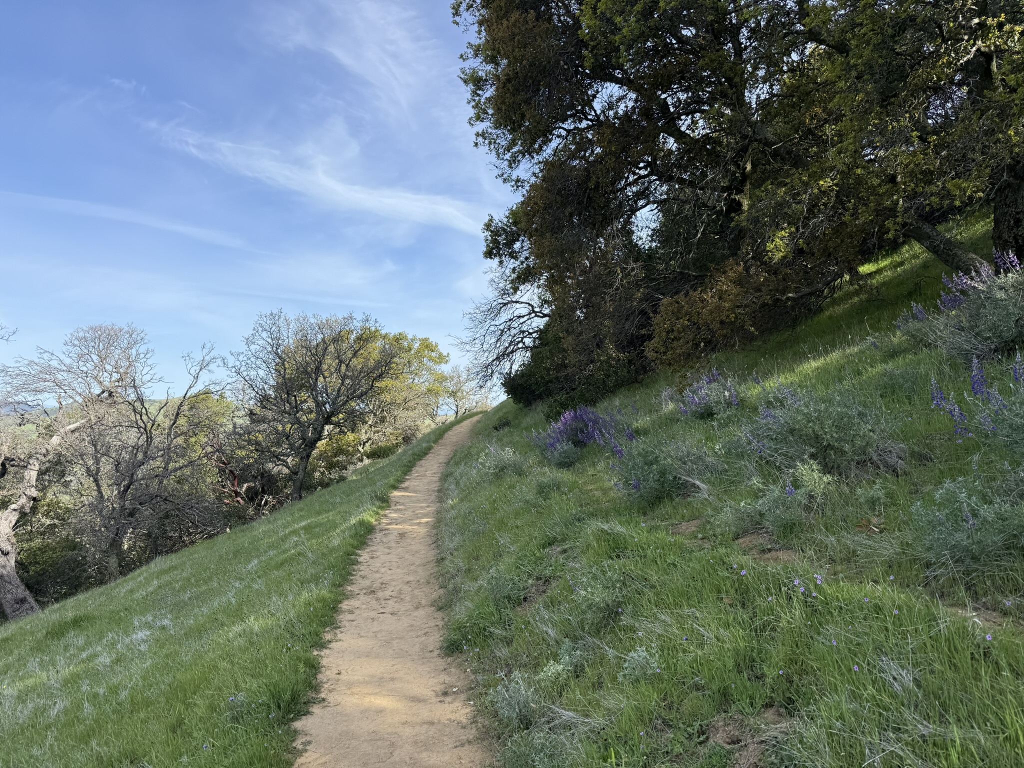Morgan Territory Regional Preserve