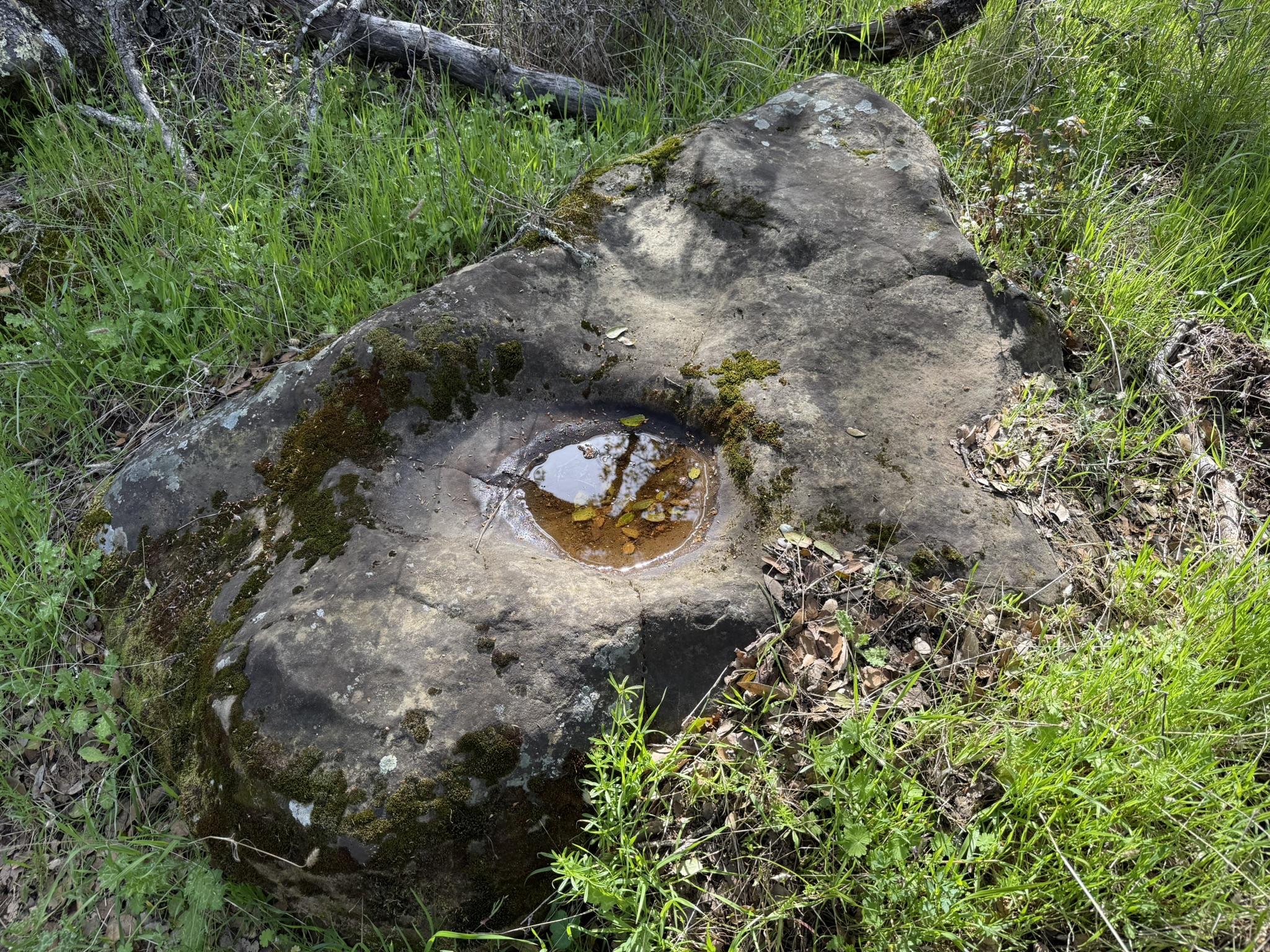 Morgan Territory Regional Preserve