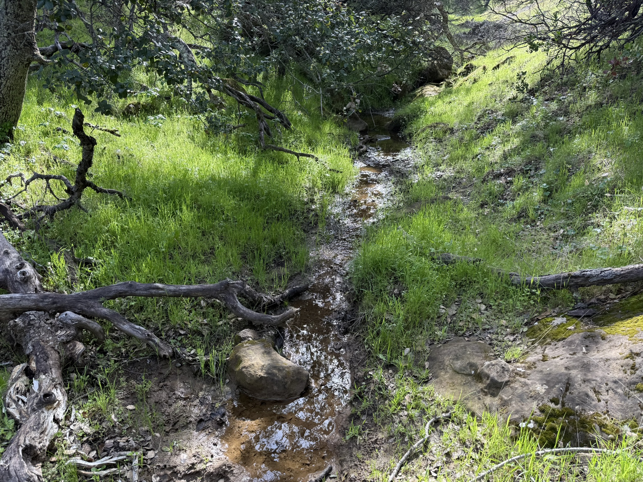 Morgan Territory Regional Preserve