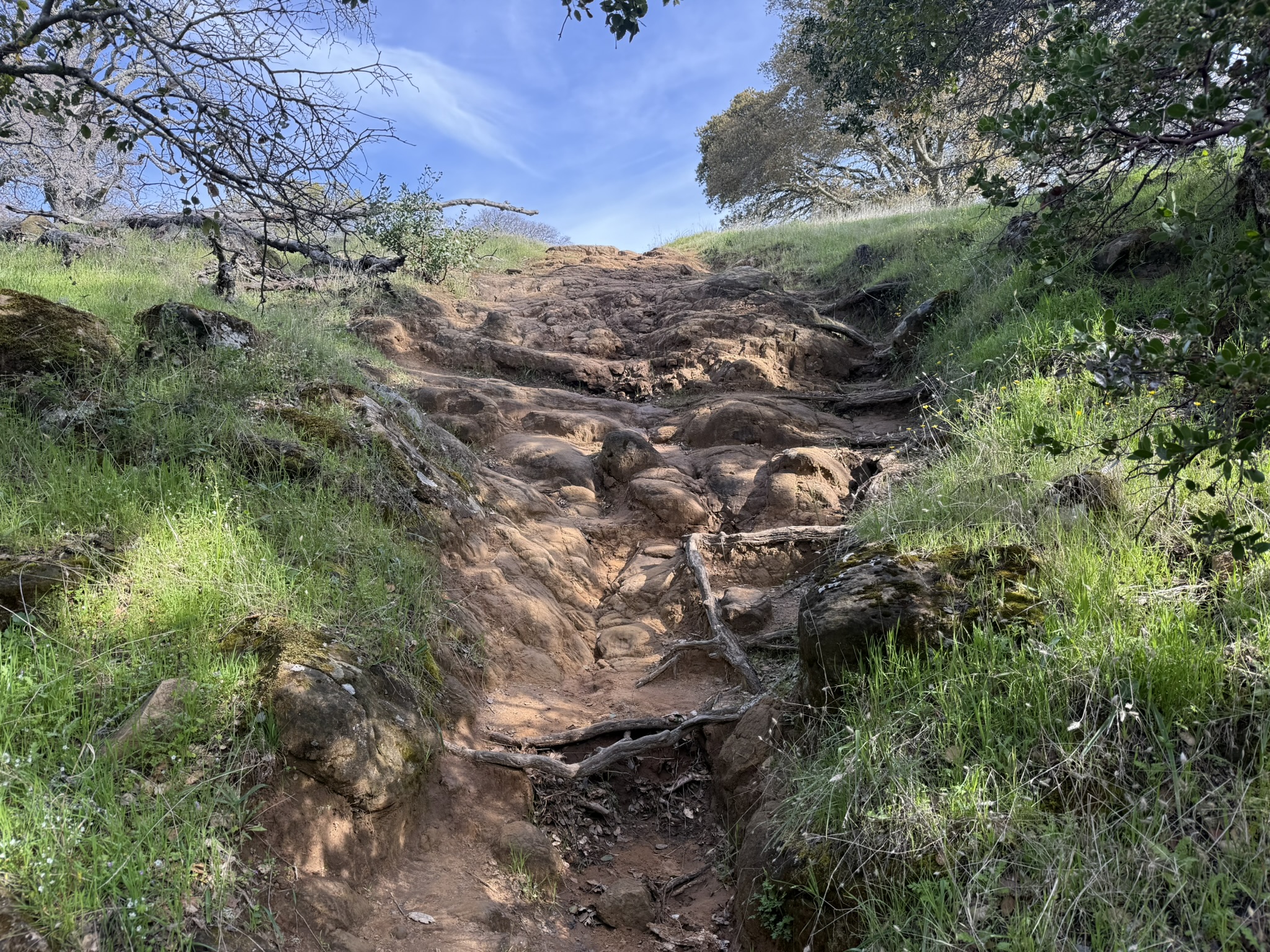 Morgan Territory Regional Preserve