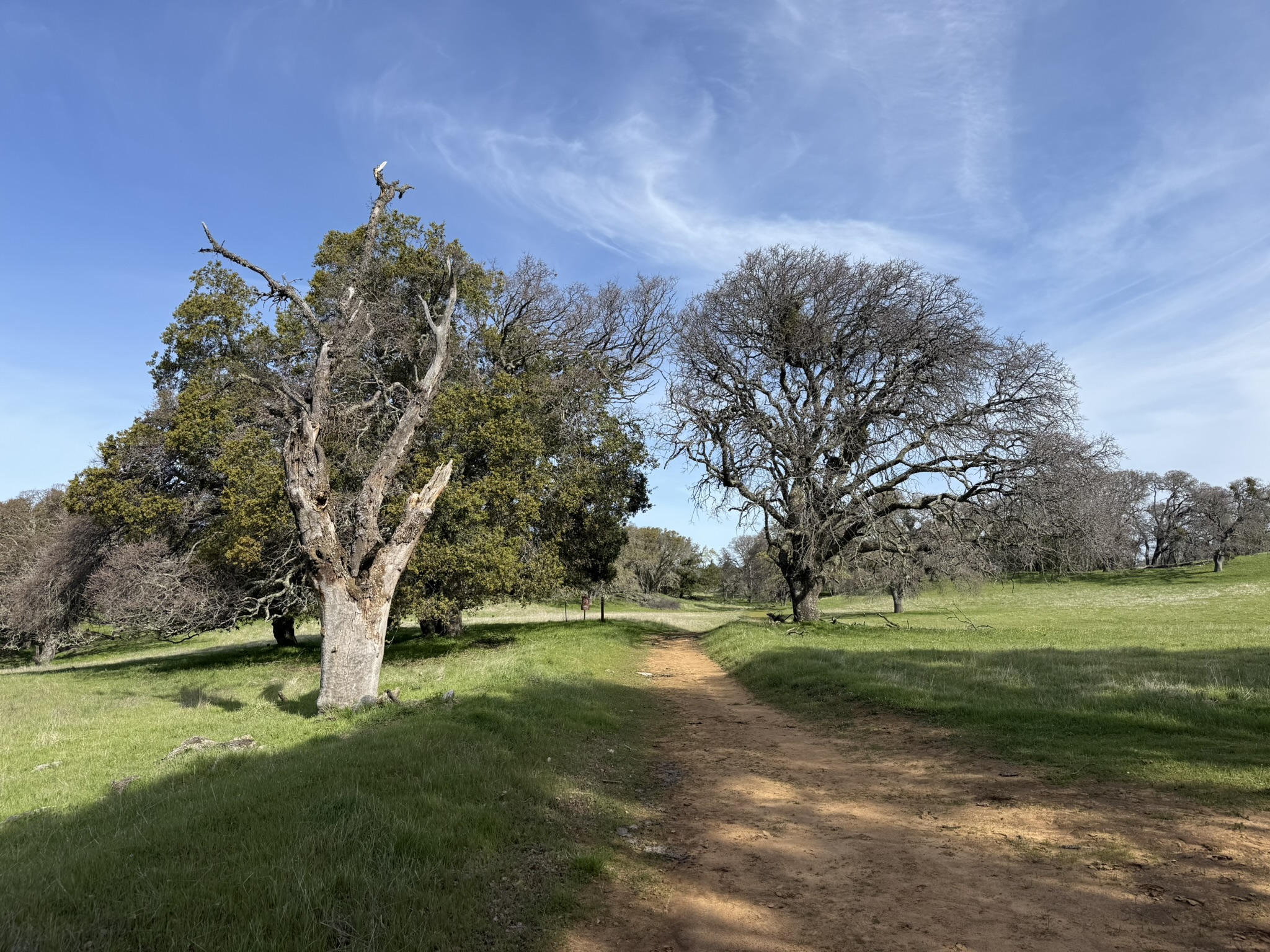 Morgan Territory Regional Preserve