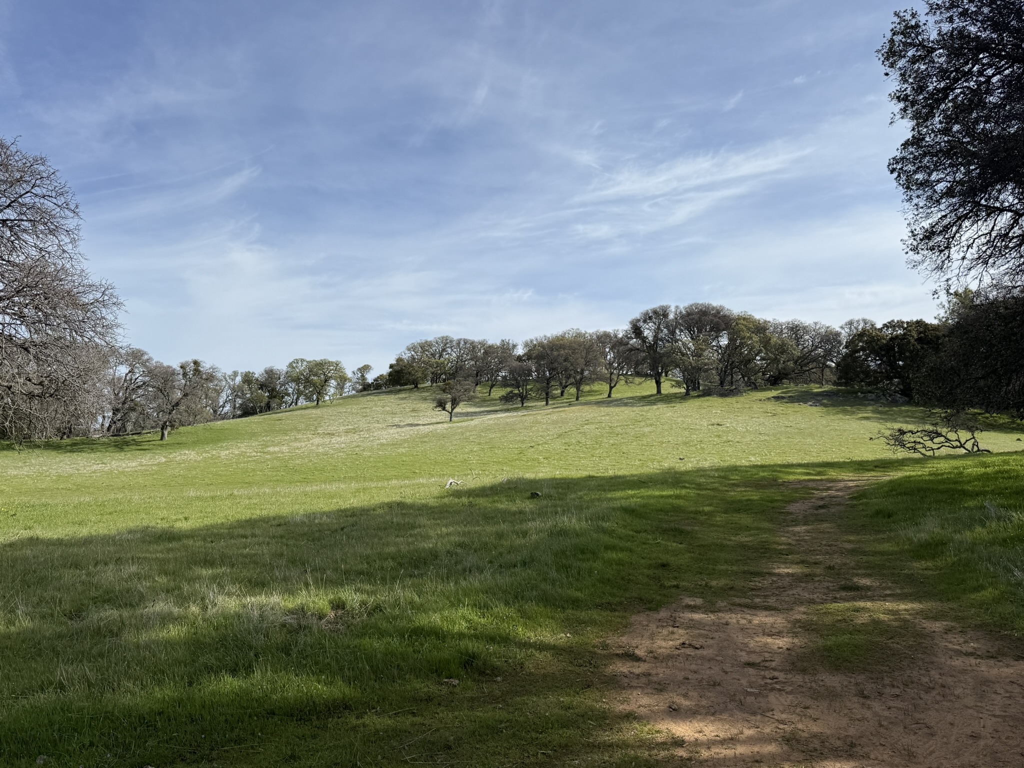 Morgan Territory Regional Preserve