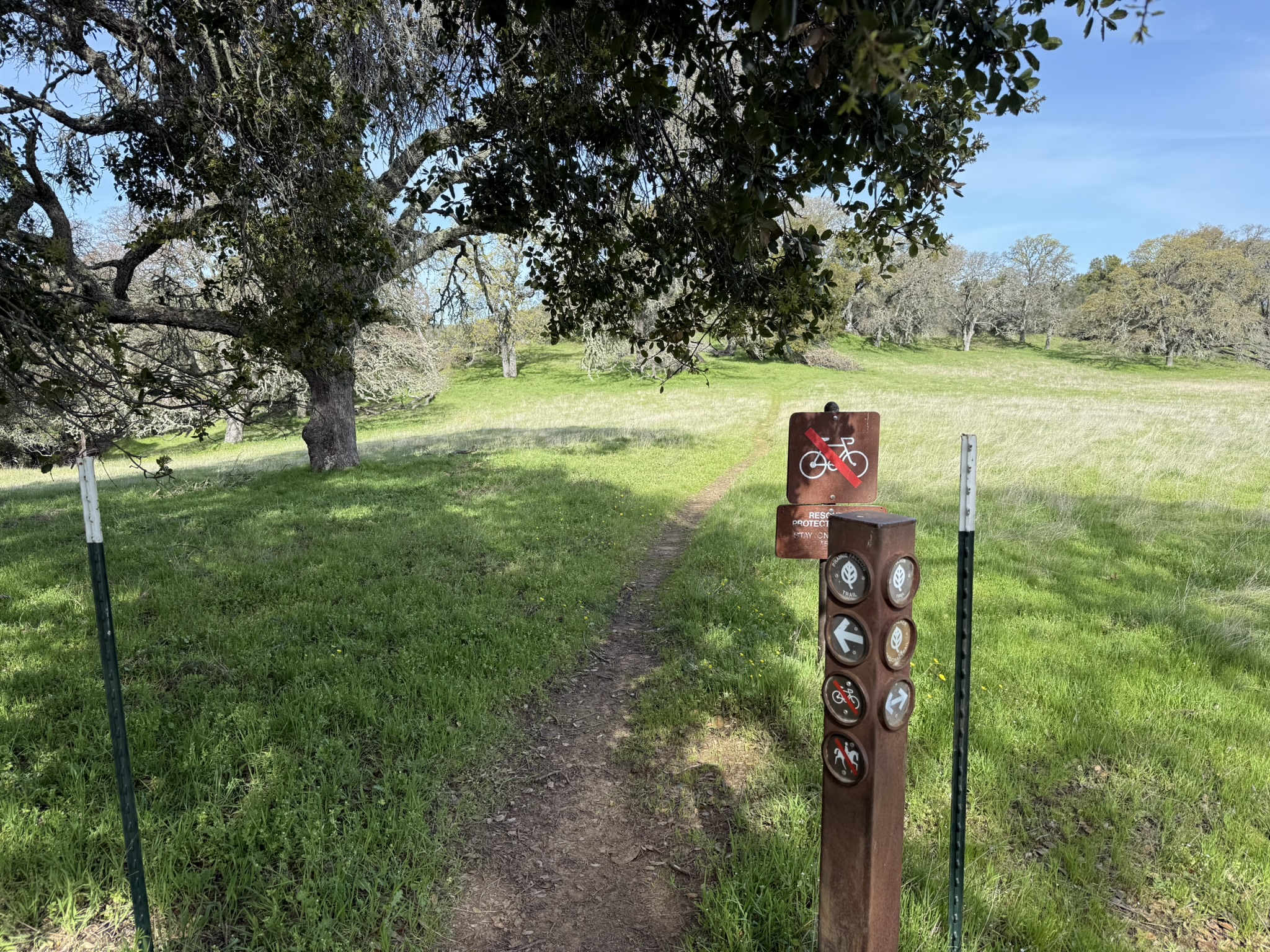 Morgan Territory Regional Preserve