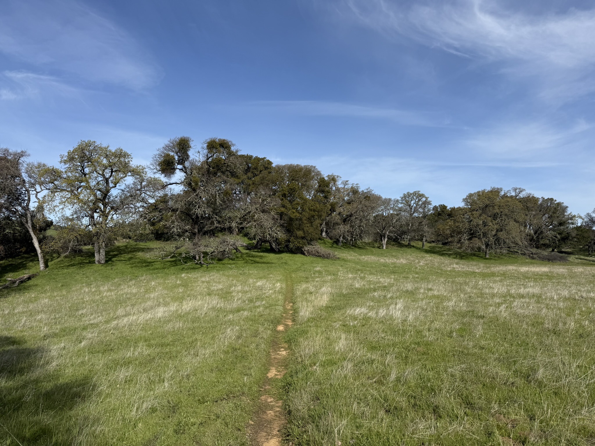 Morgan Territory Regional Preserve