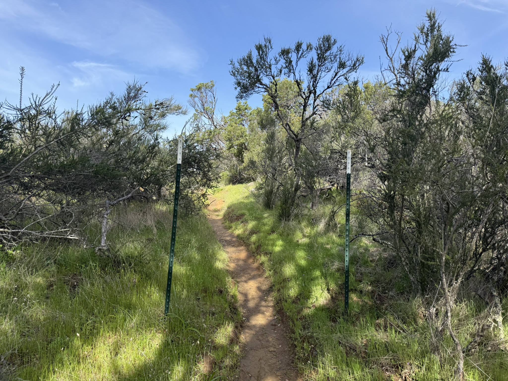 Morgan Territory Regional Preserve