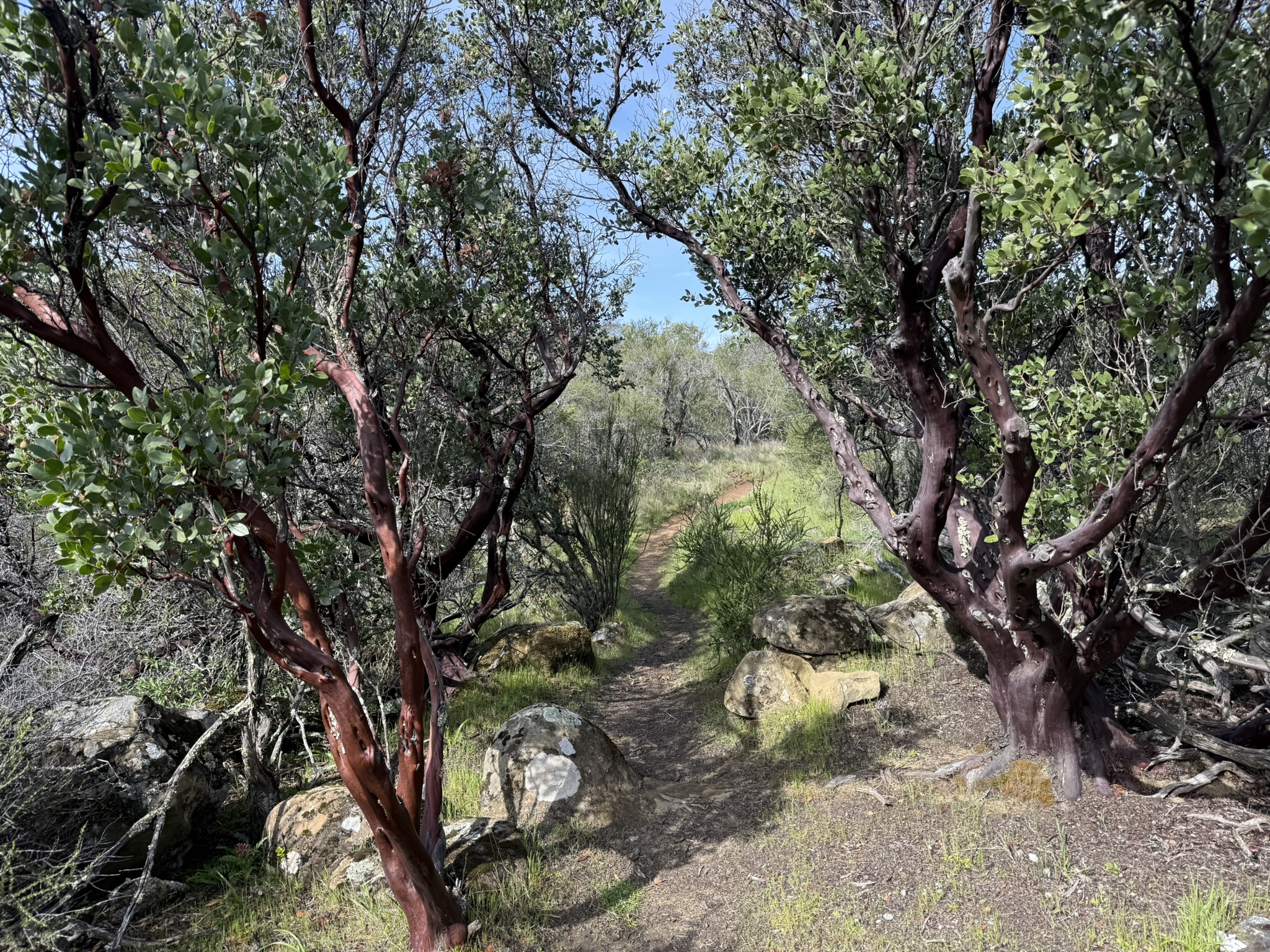 Morgan Territory Regional Preserve