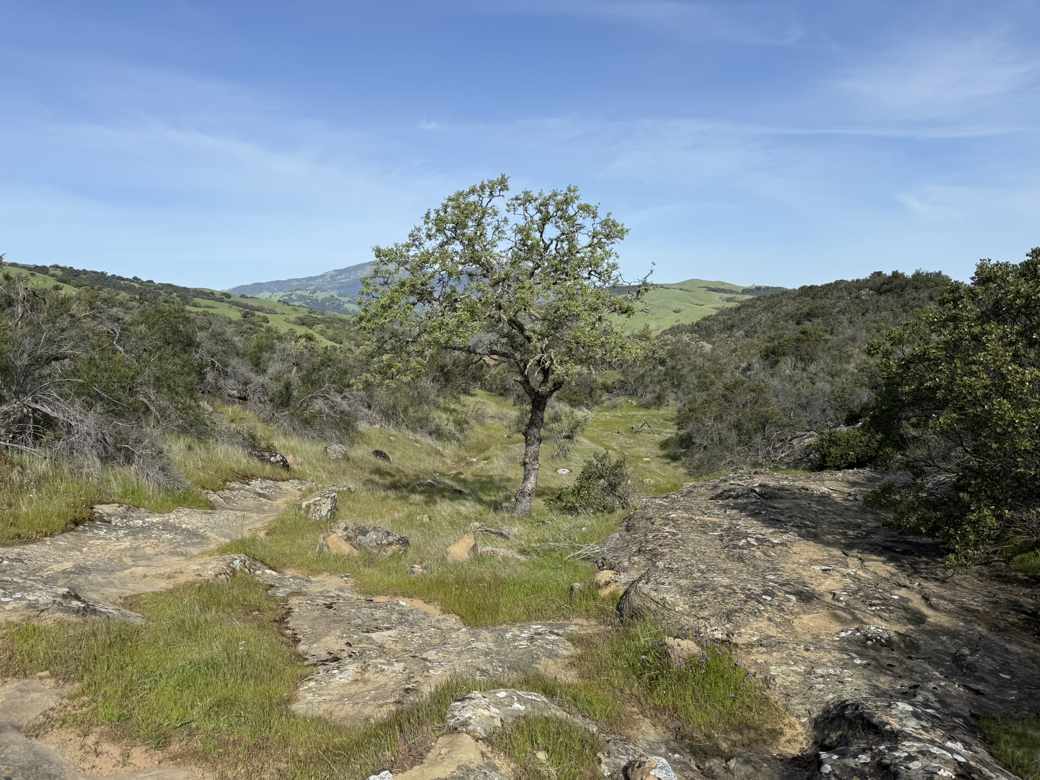 Morgan Territory Regional Preserve