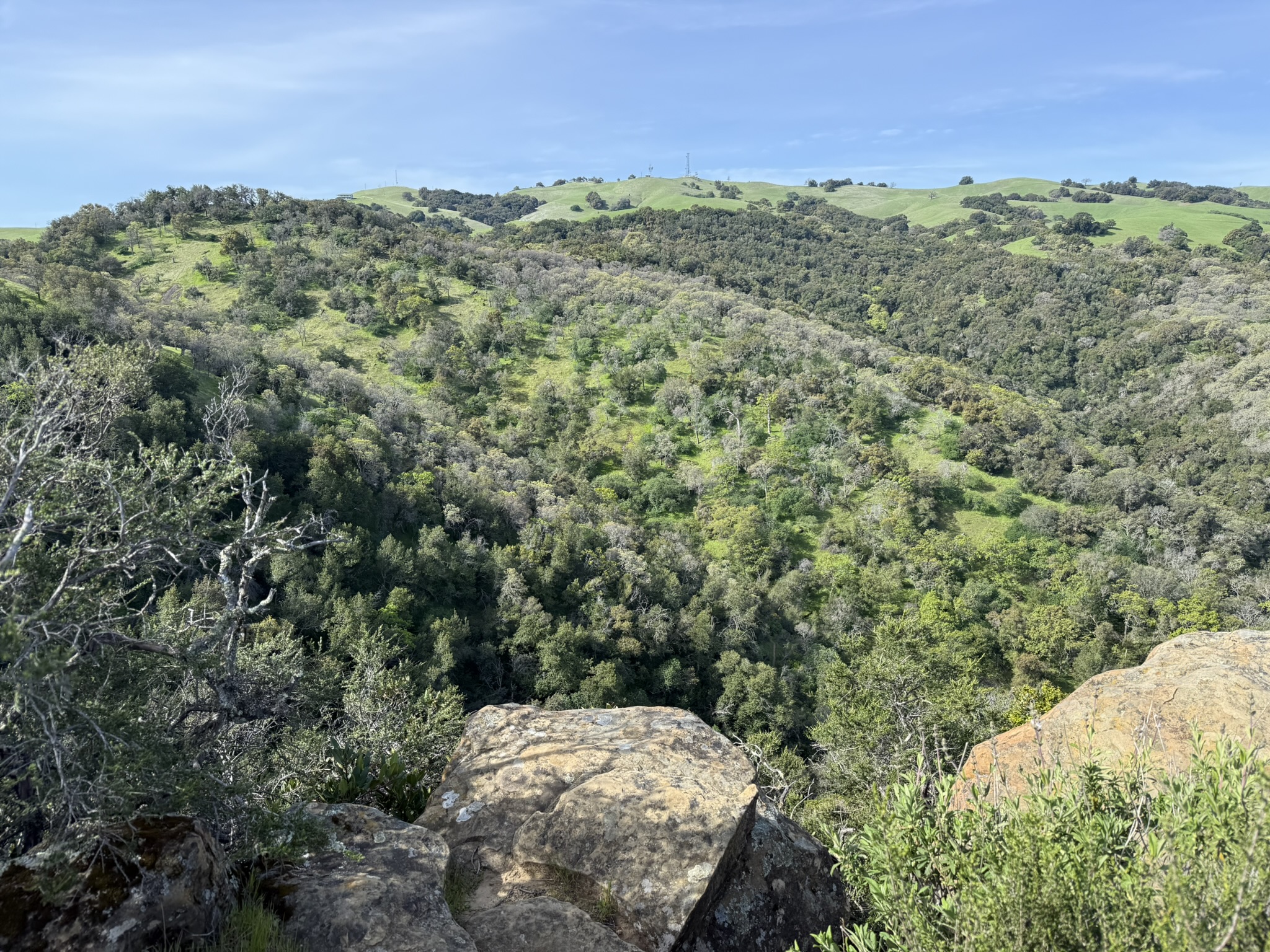 Morgan Territory Regional Preserve