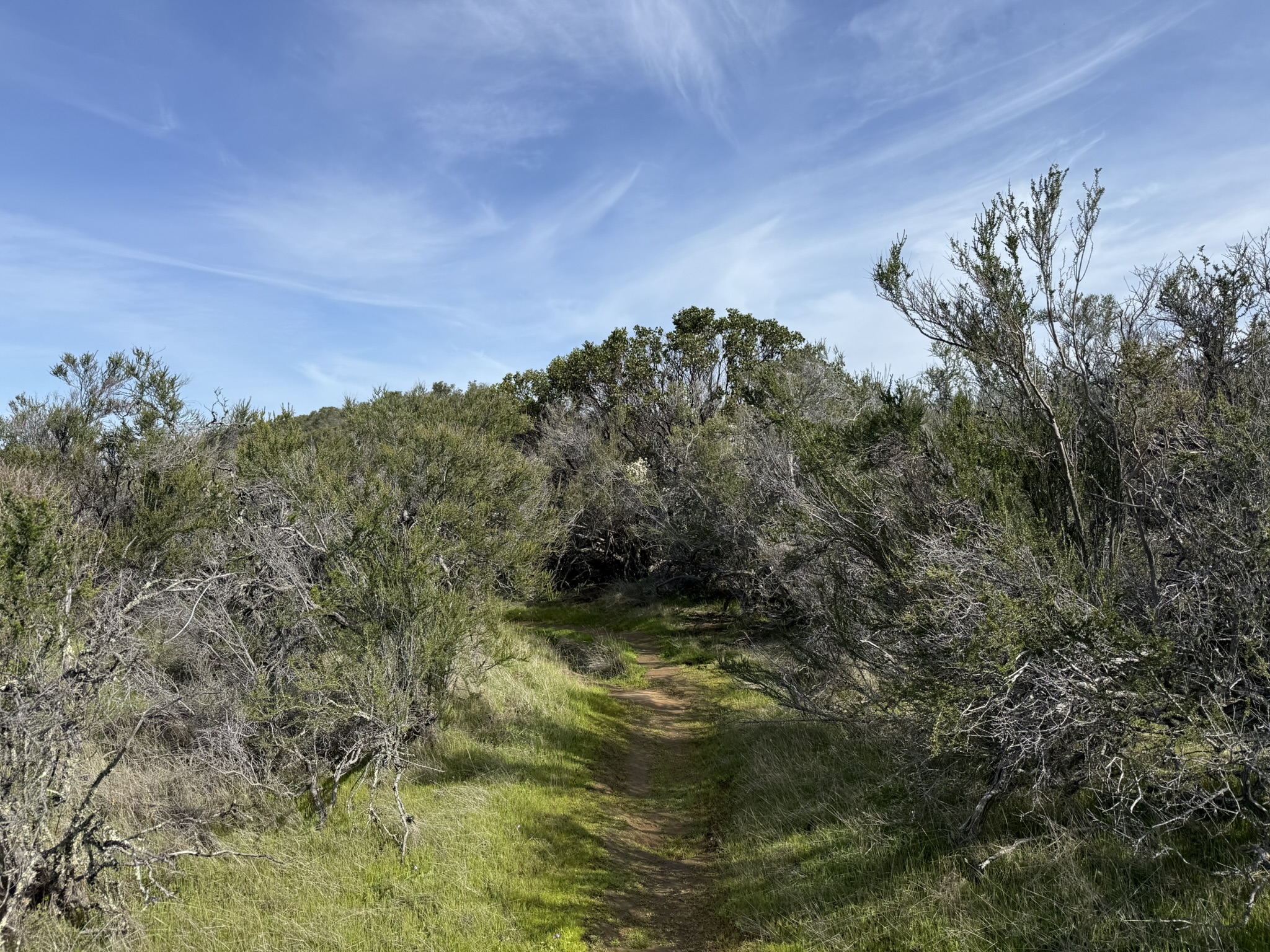 Morgan Territory Regional Preserve