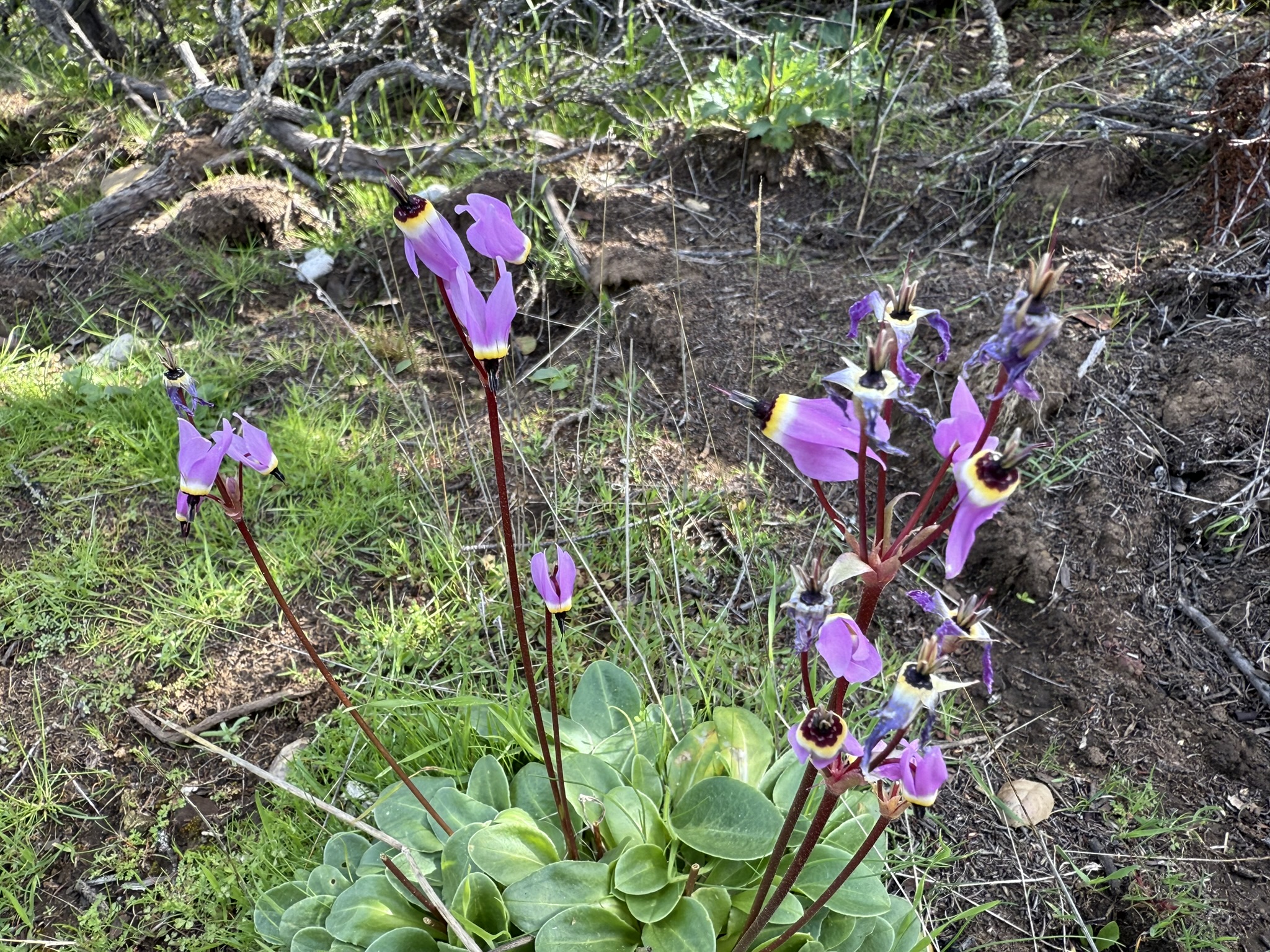 Morgan Territory Regional Preserve