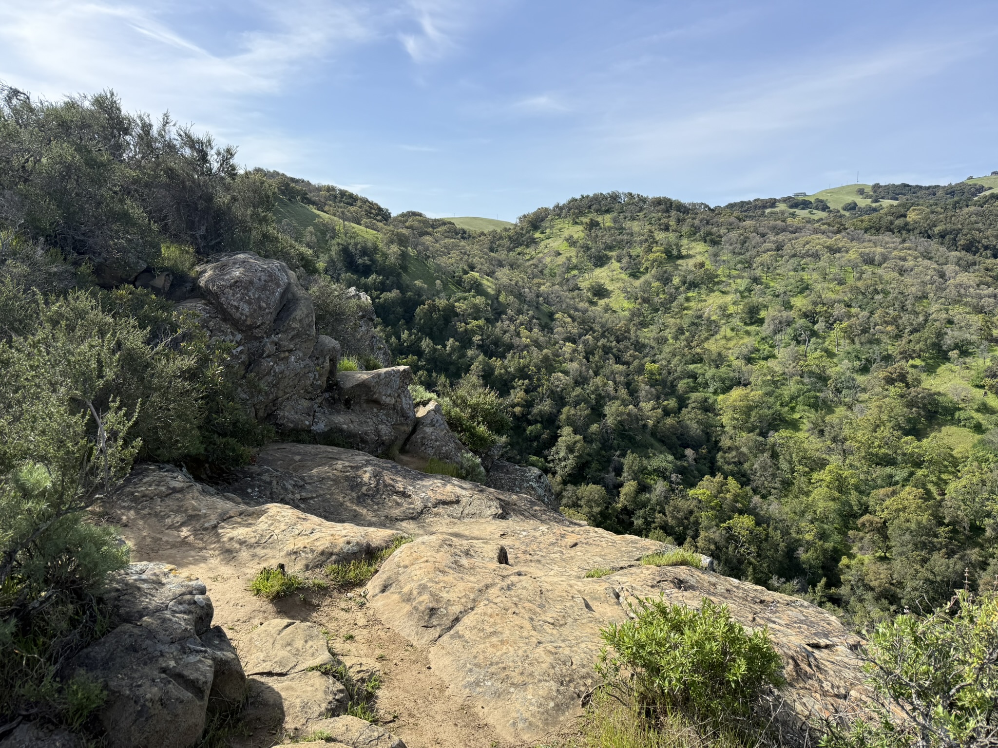 Morgan Territory Regional Preserve