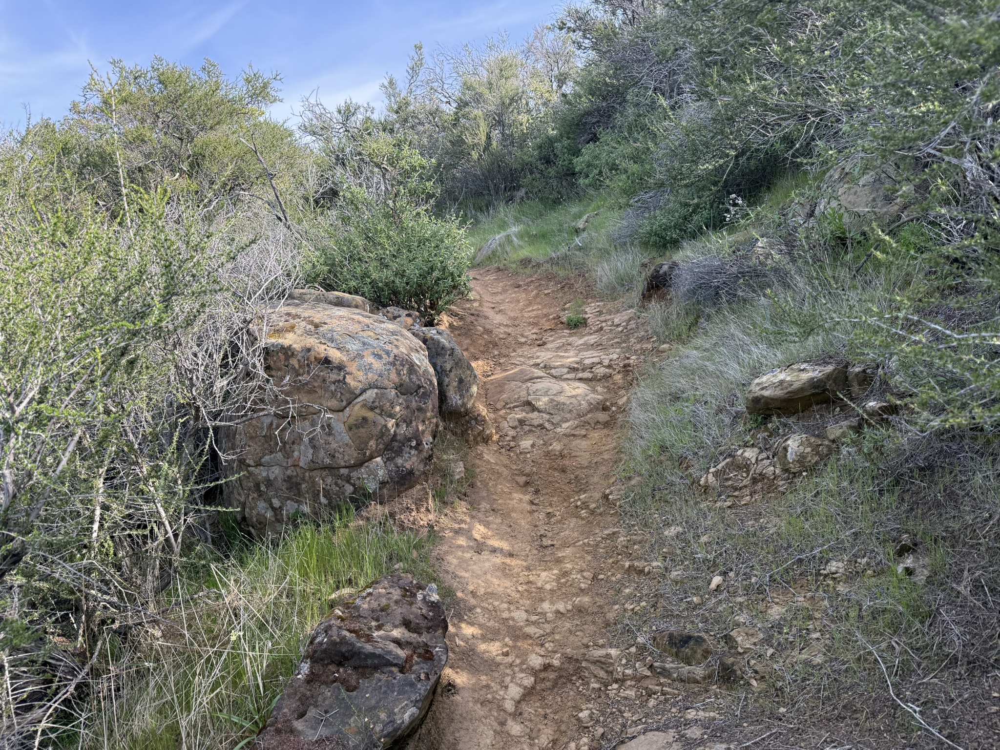 Morgan Territory Regional Preserve