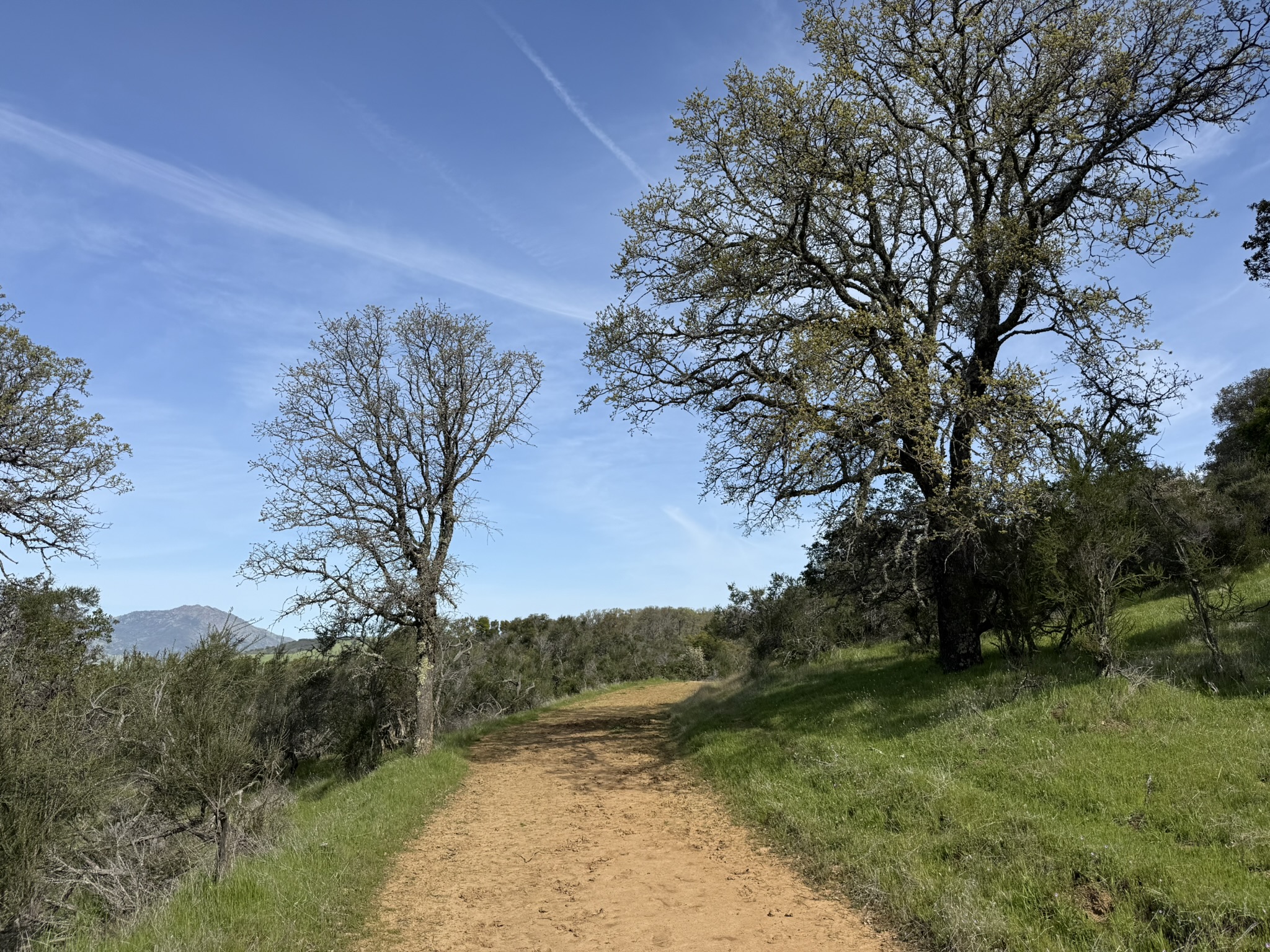 Morgan Territory Regional Preserve