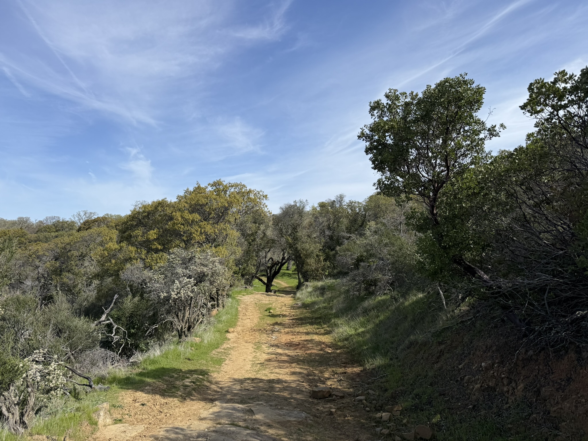 Morgan Territory Regional Preserve