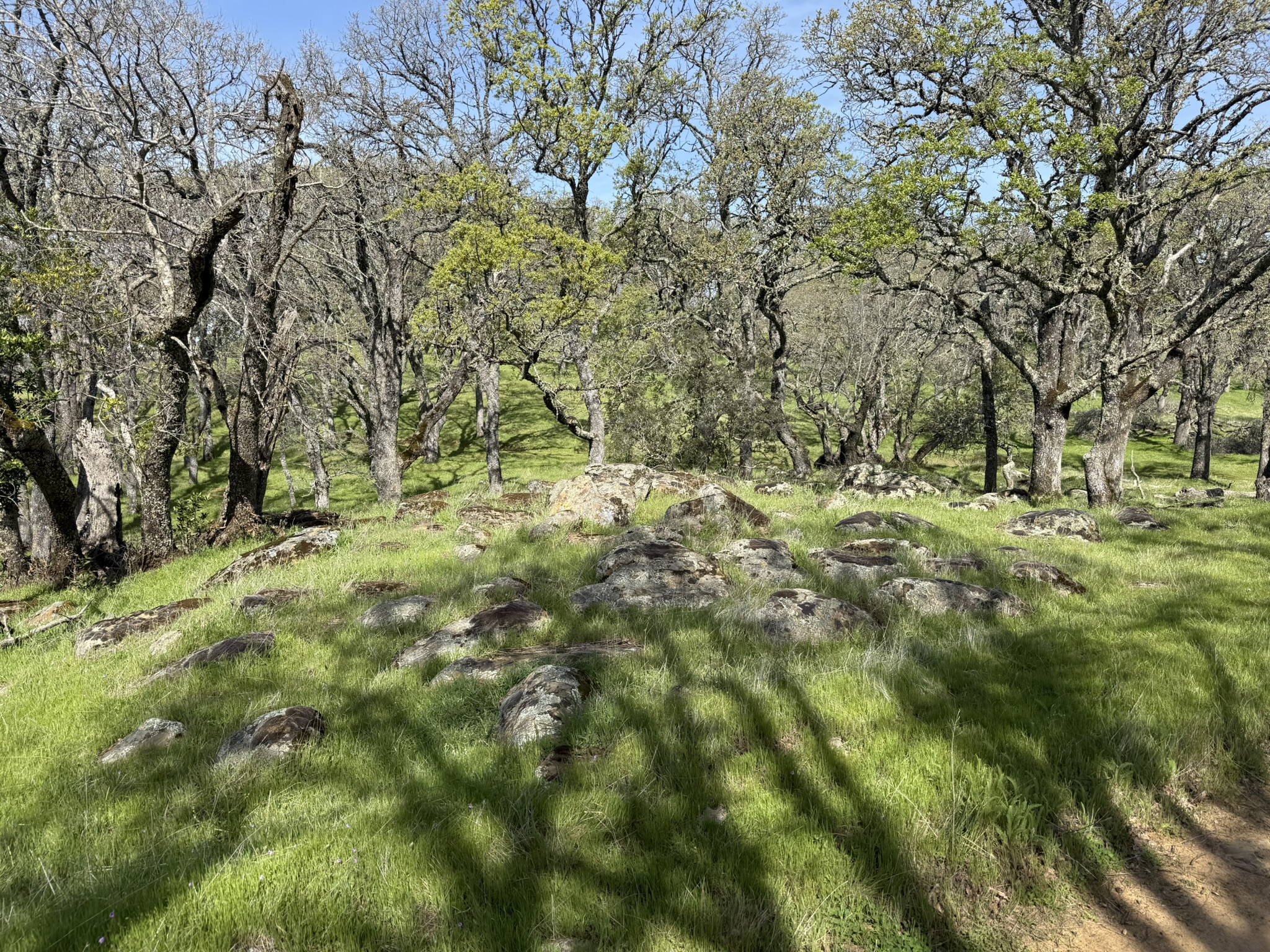 Morgan Territory Regional Preserve