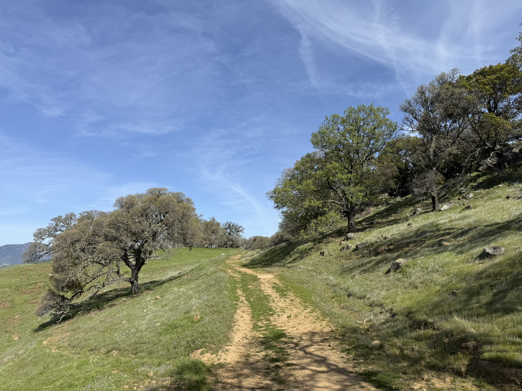 Morgan Territory Regional Preserve