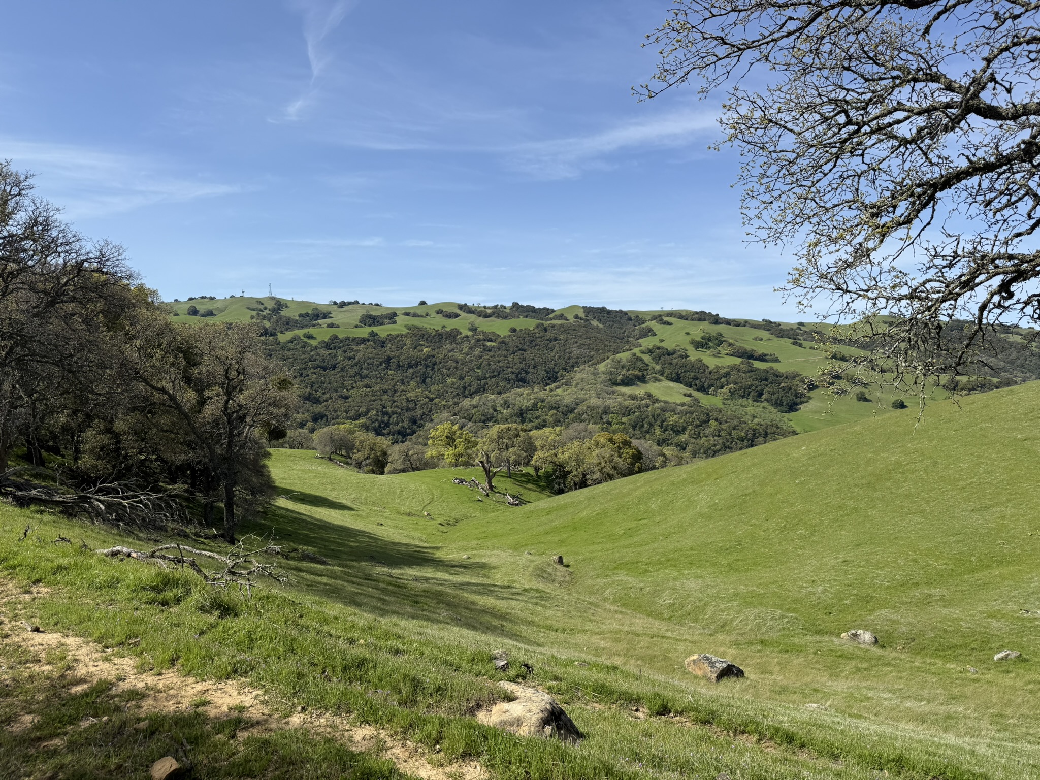 Morgan Territory Regional Preserve