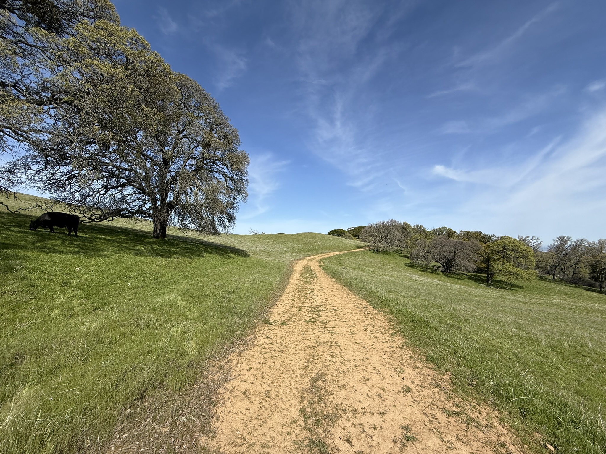 Morgan Territory Regional Preserve