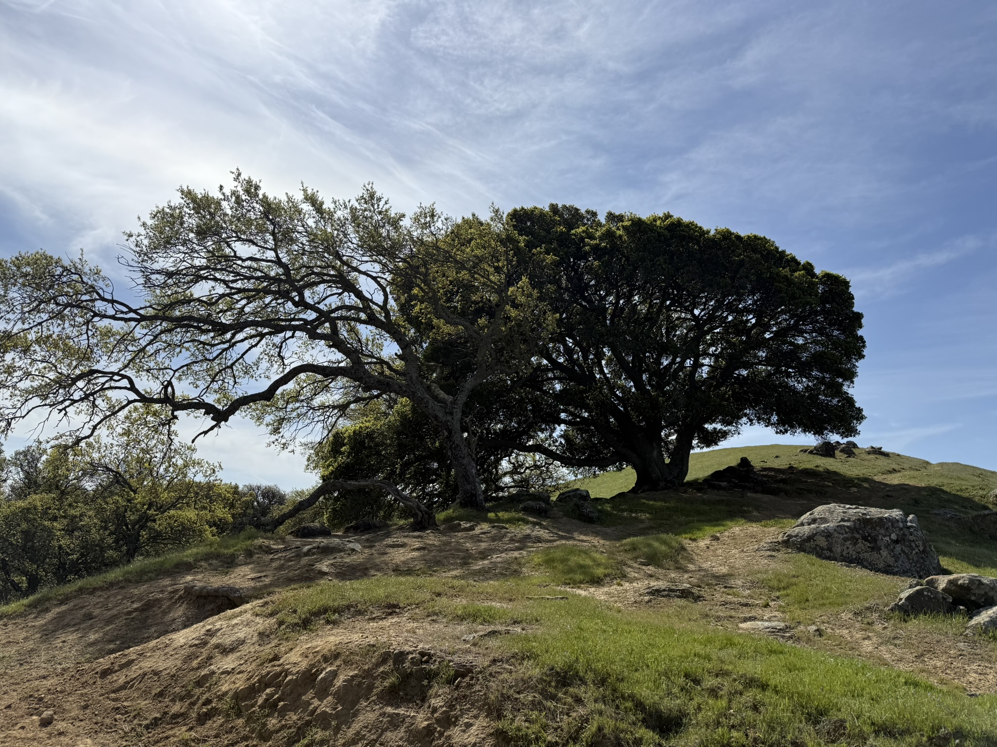Morgan Territory Regional Preserve