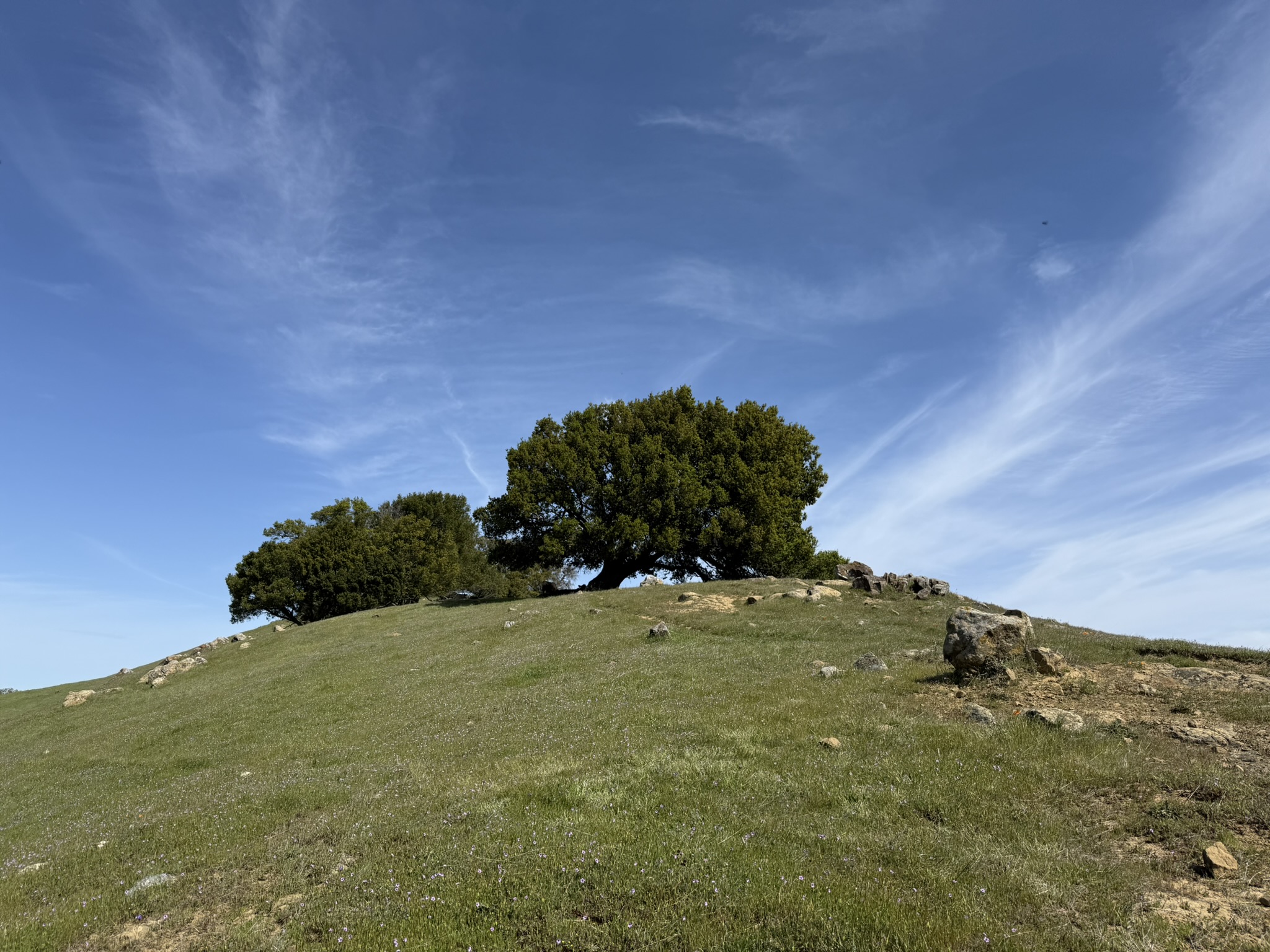Morgan Territory Regional Preserve