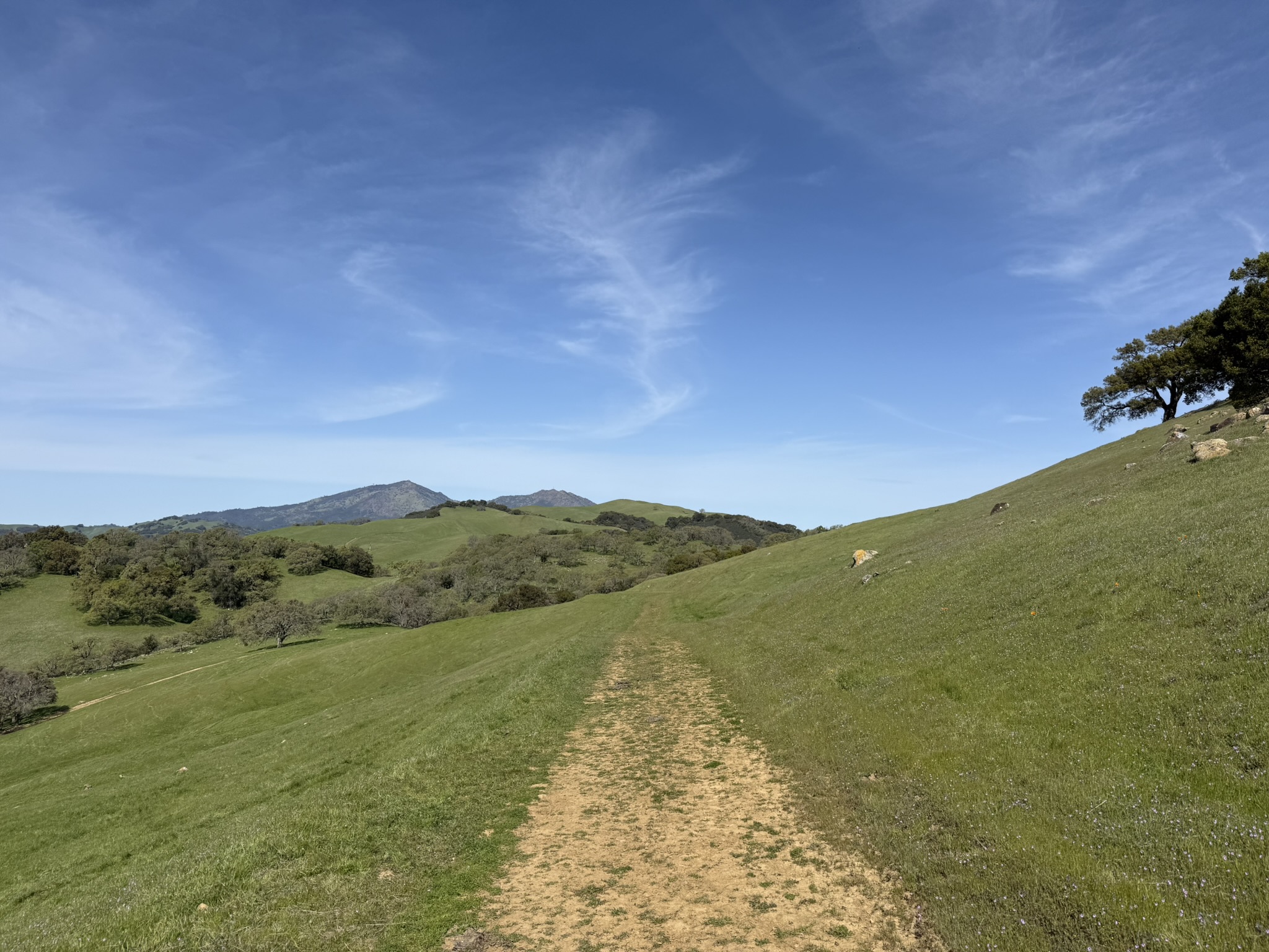 Morgan Territory Regional Preserve