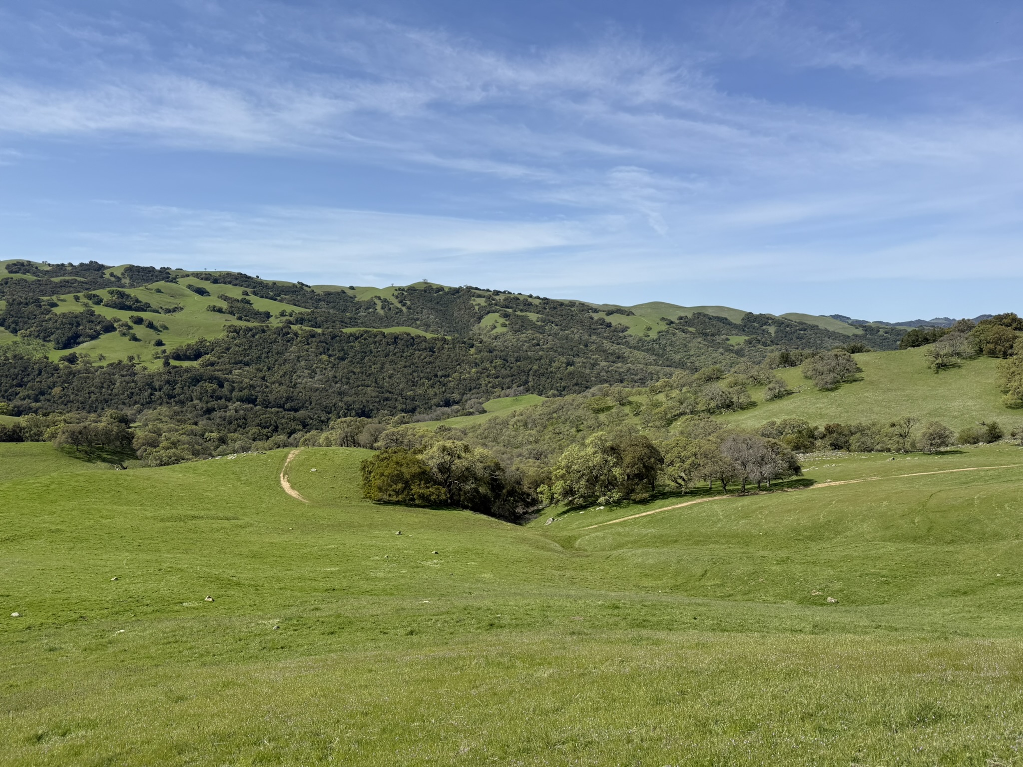 Morgan Territory Regional Preserve