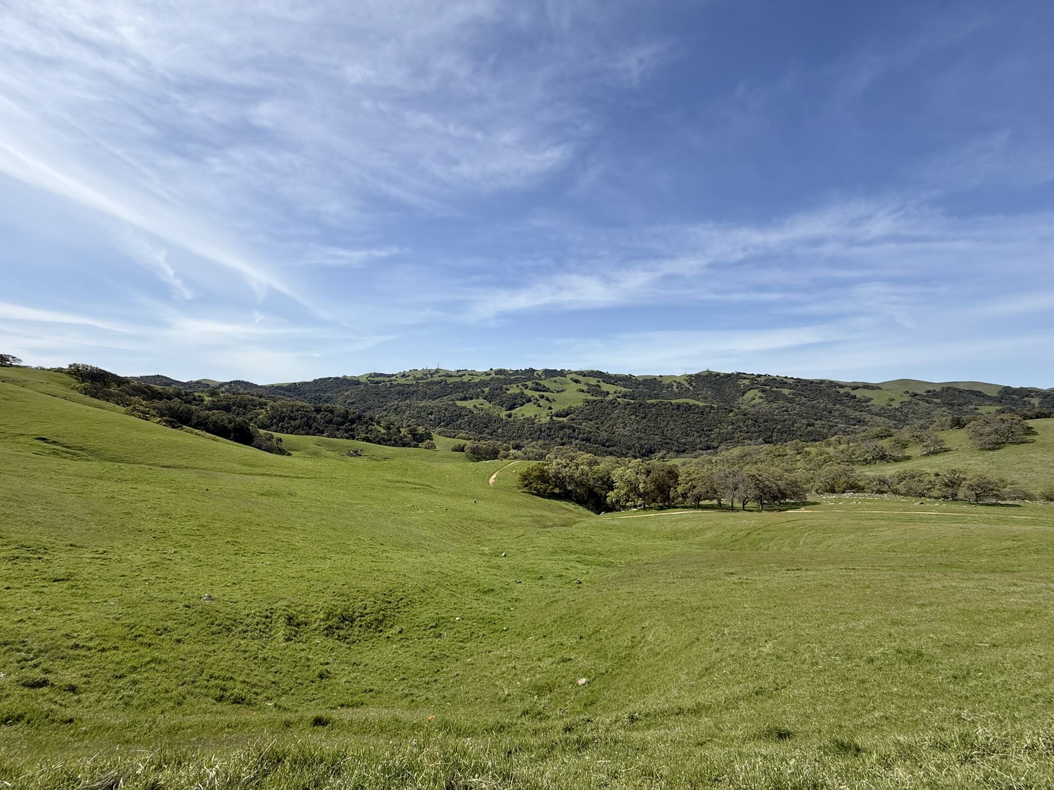 Morgan Territory Regional Preserve