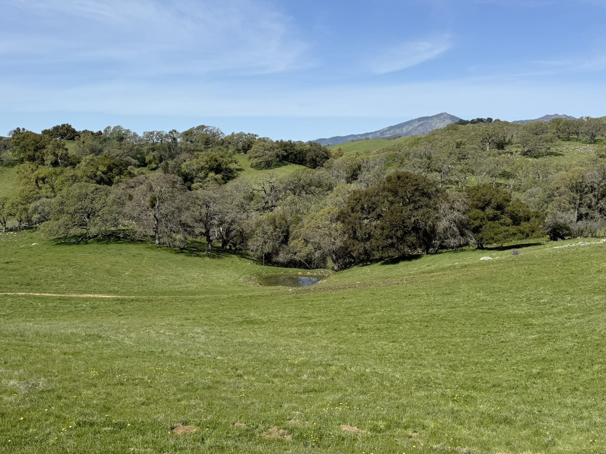Morgan Territory Regional Preserve