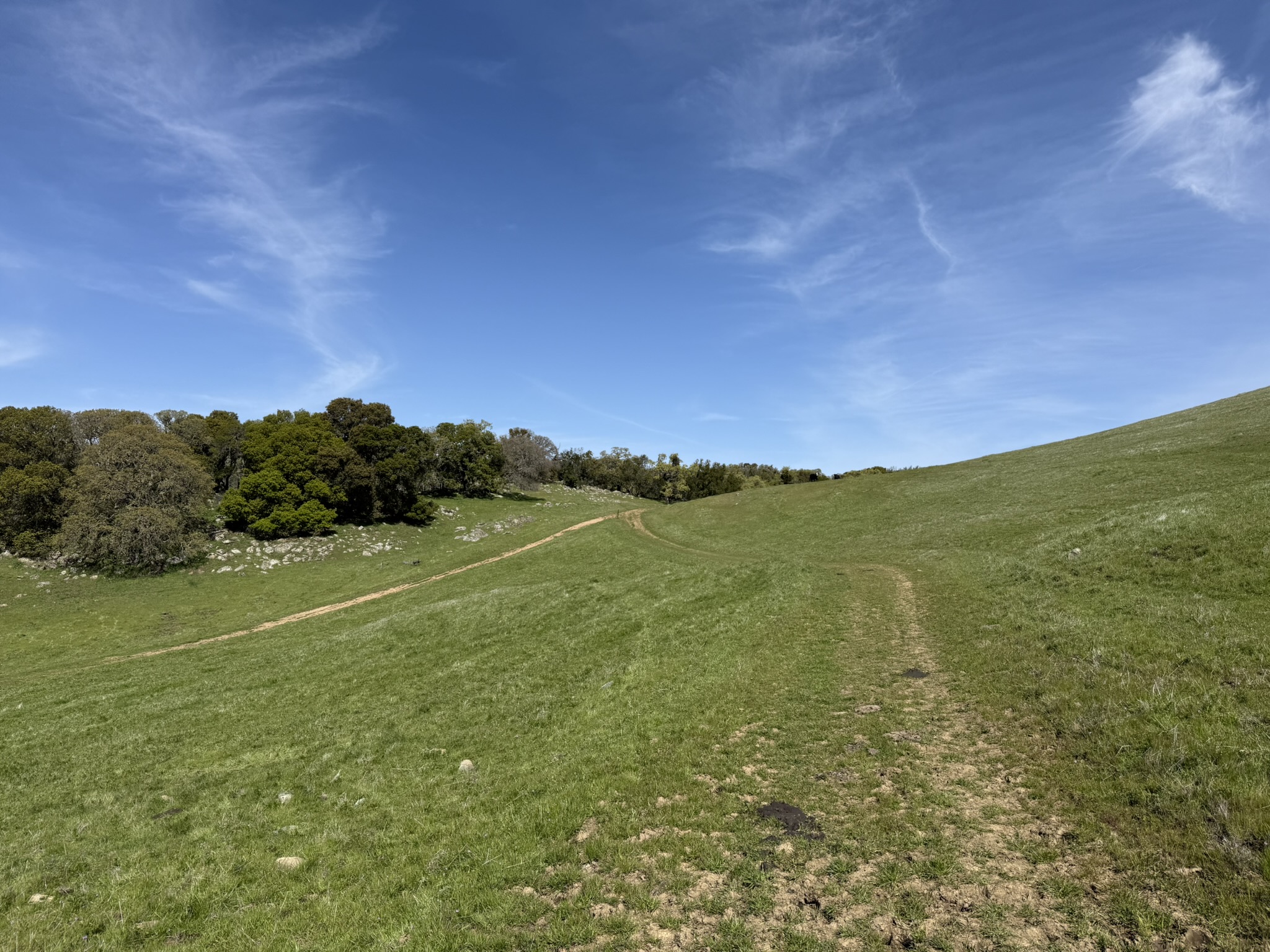 Morgan Territory Regional Preserve