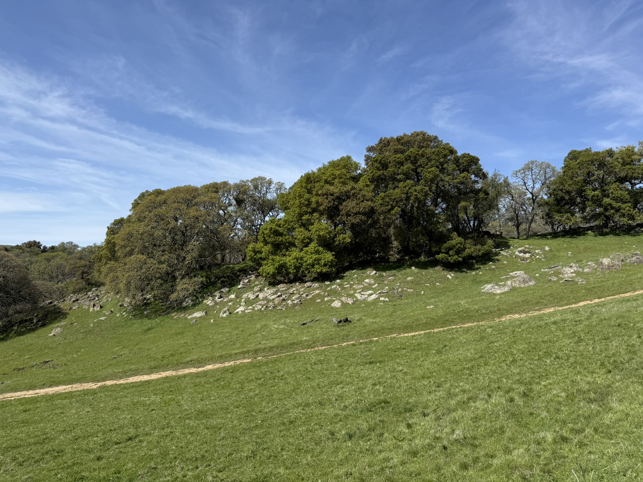 Morgan Territory Regional Preserve