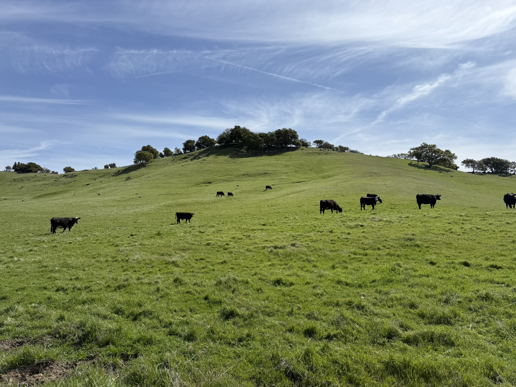 Morgan Territory Regional Preserve