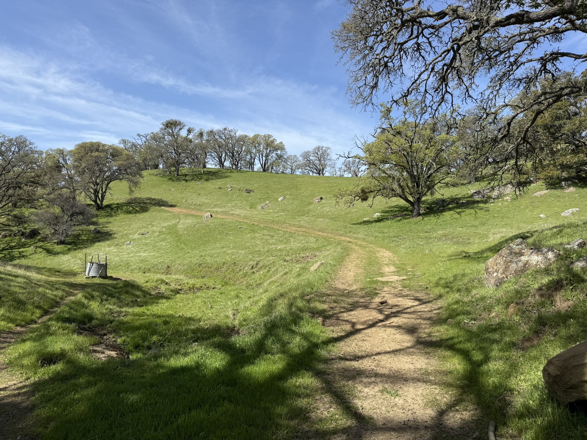 Morgan Territory Regional Preserve