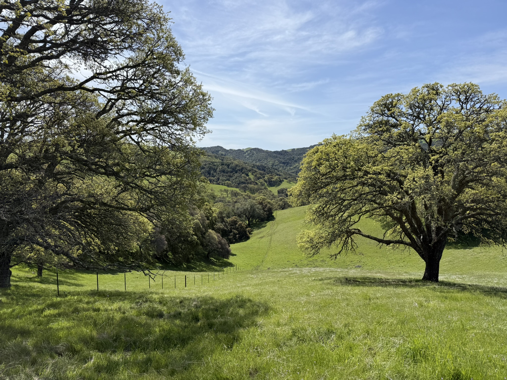 Morgan Territory Regional Preserve
