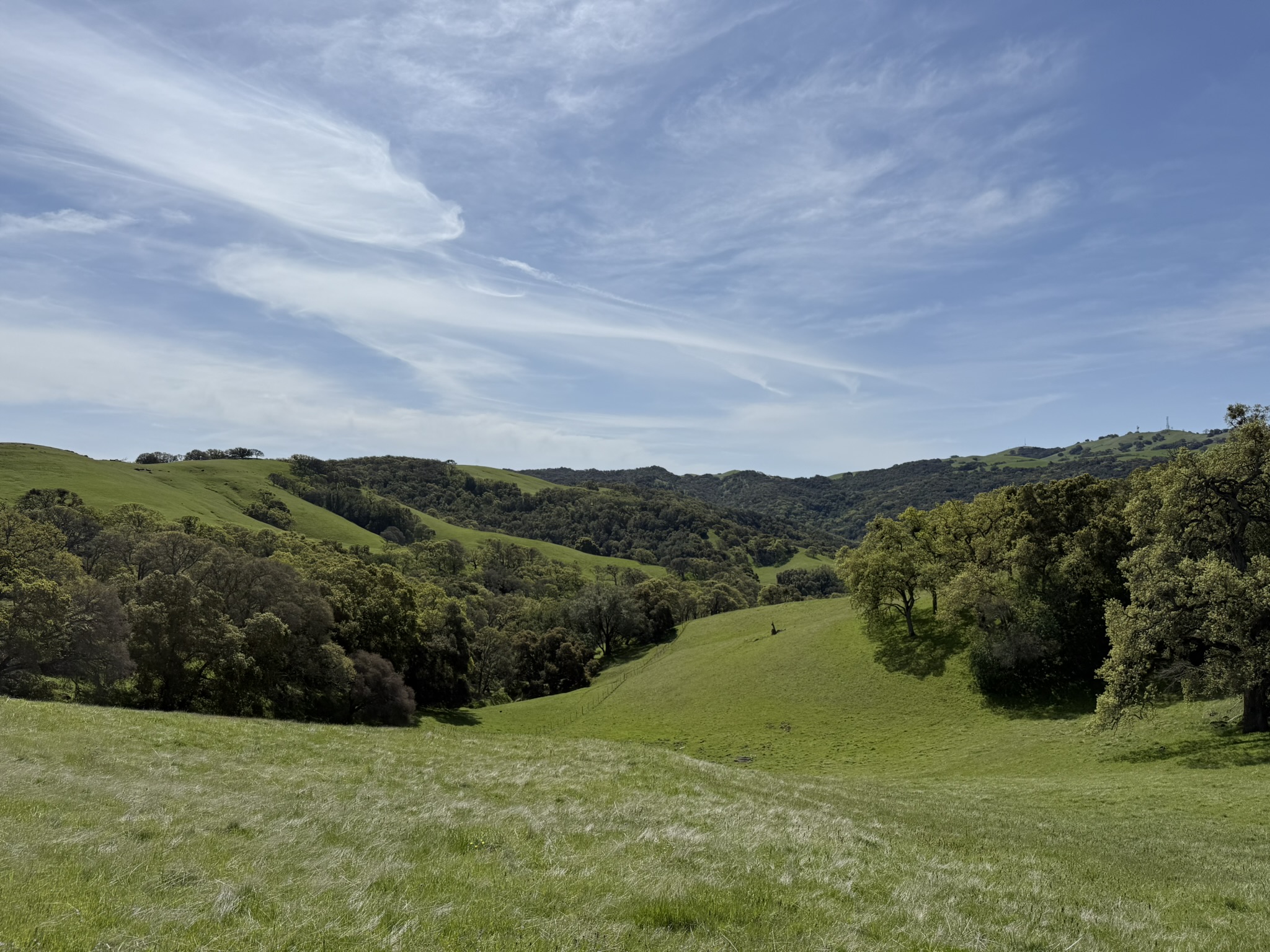 Morgan Territory Regional Preserve