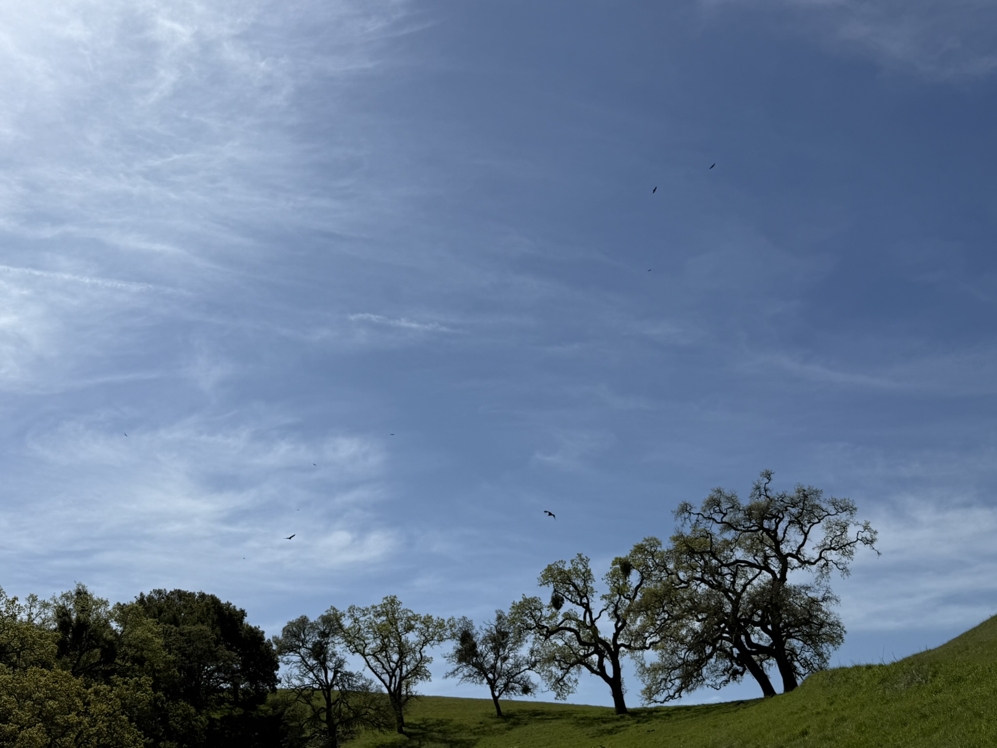 Morgan Territory Regional Preserve