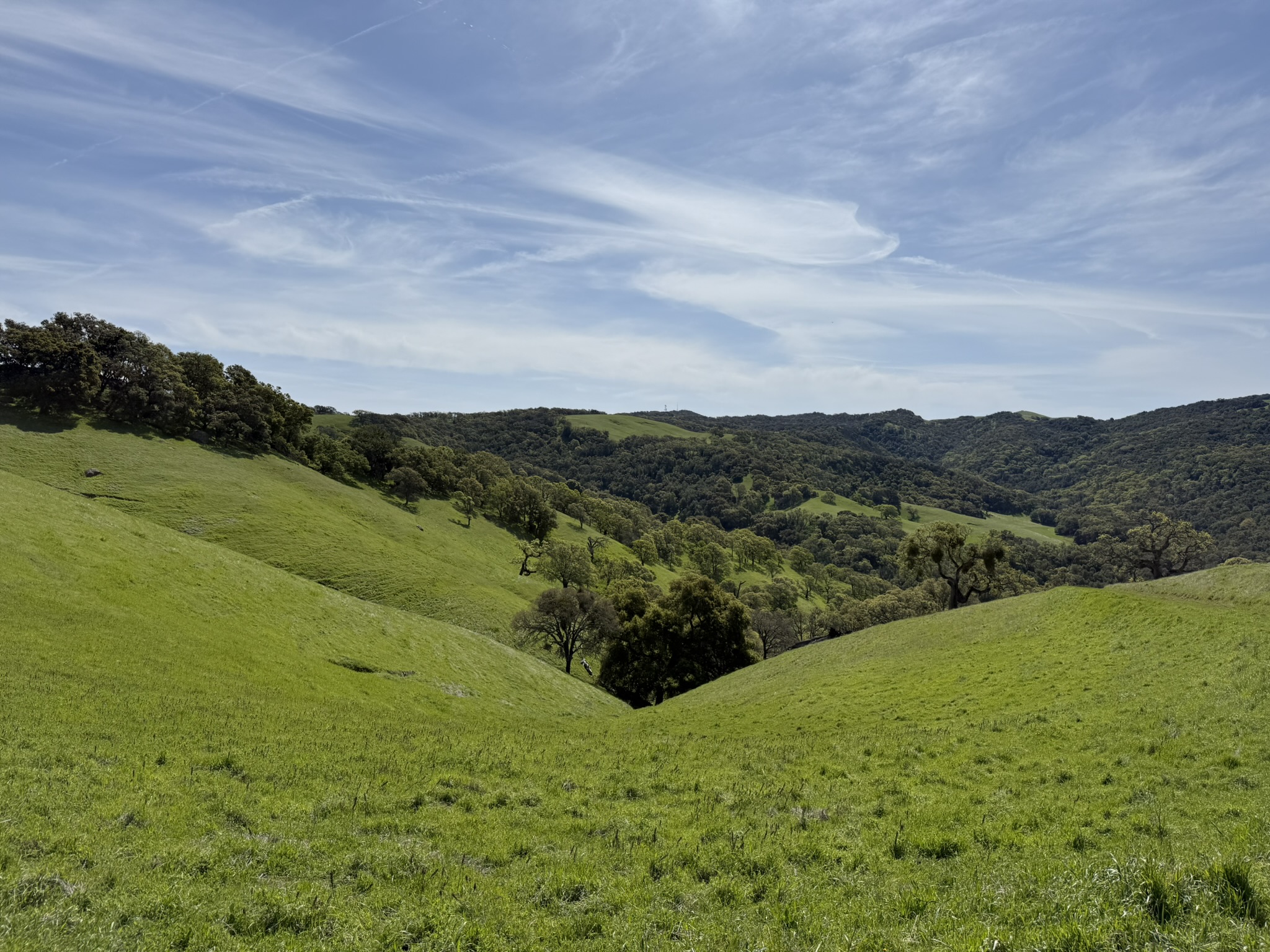Morgan Territory Regional Preserve