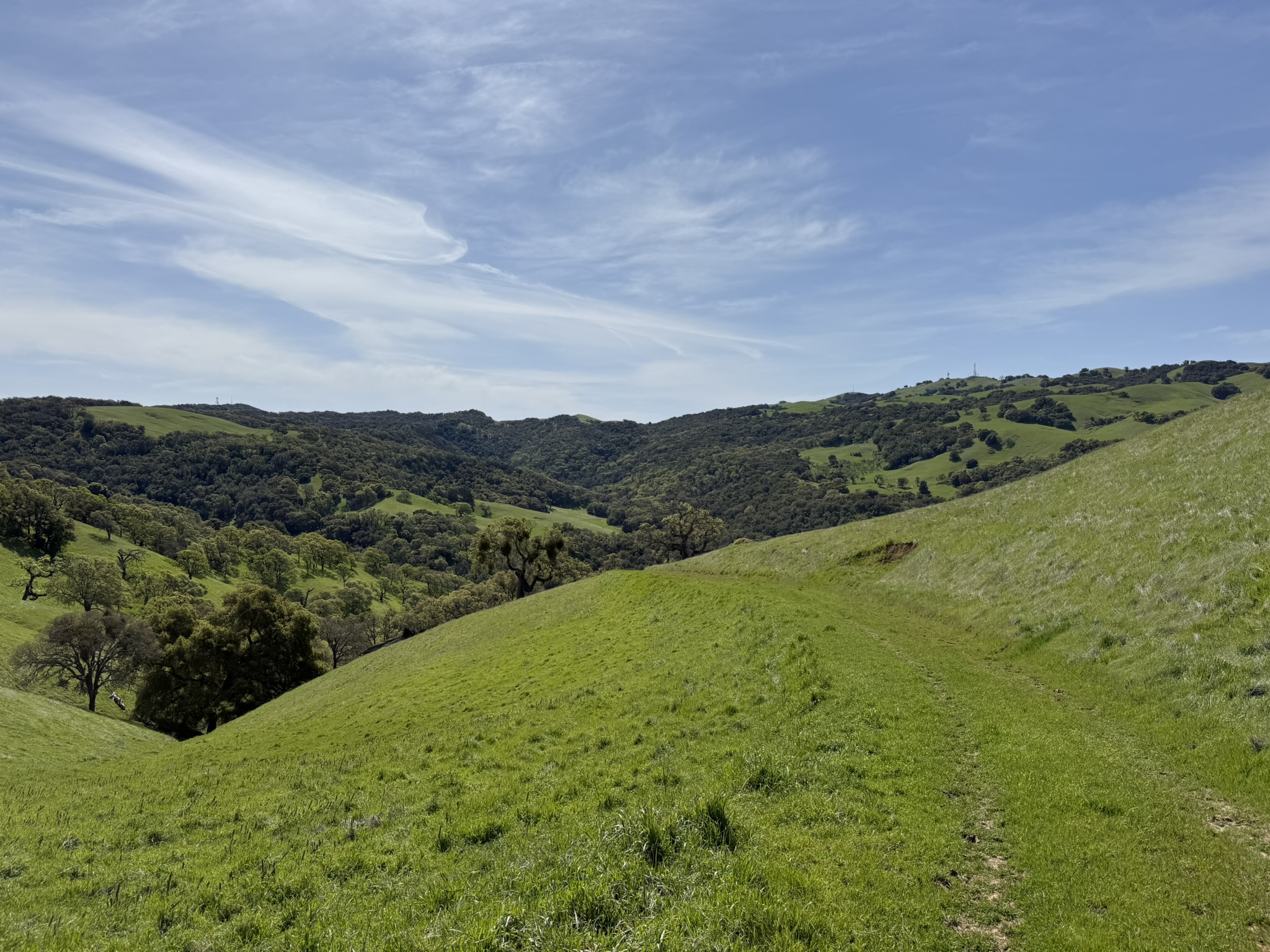 Morgan Territory Regional Preserve