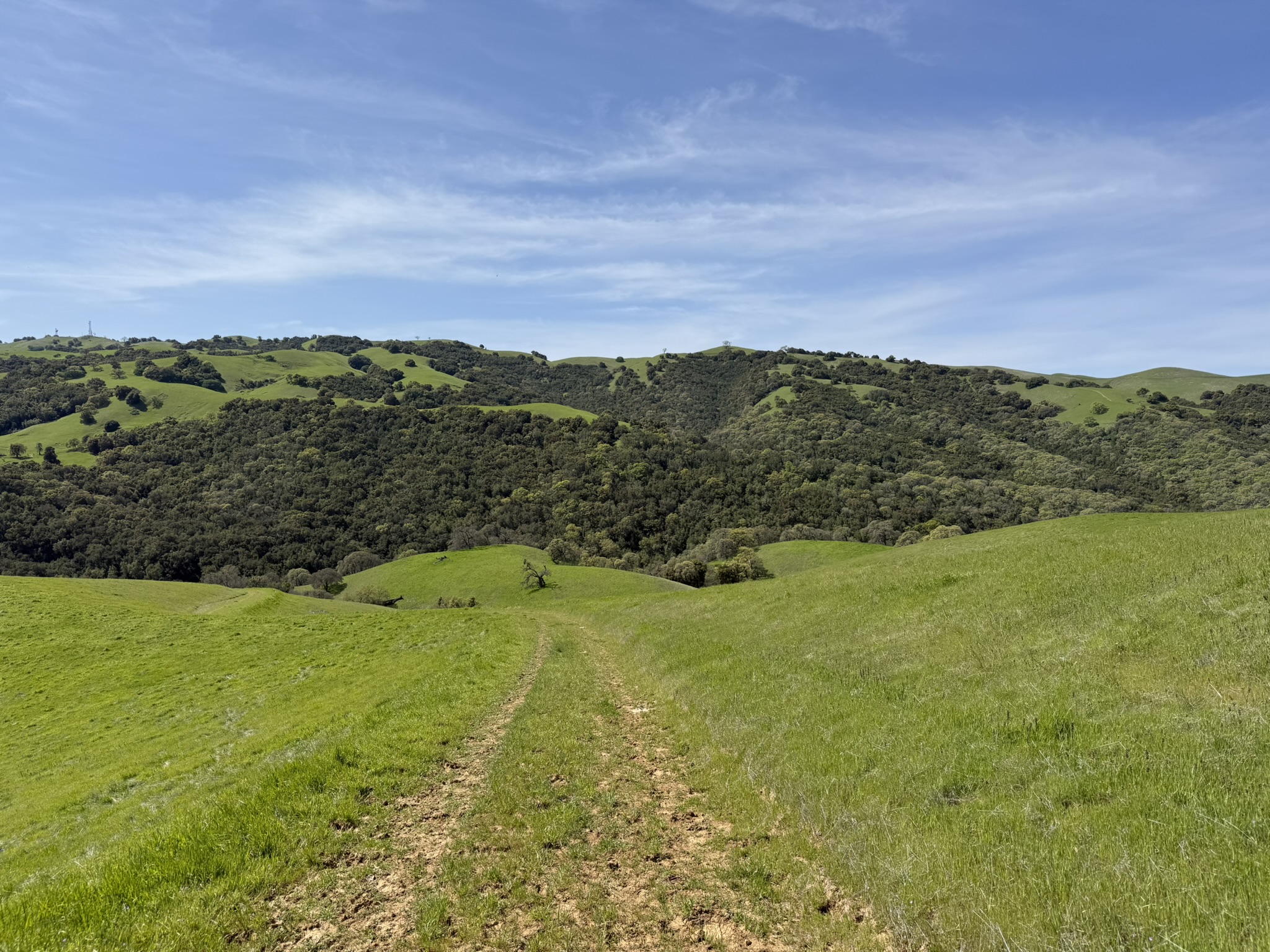 Morgan Territory Regional Preserve