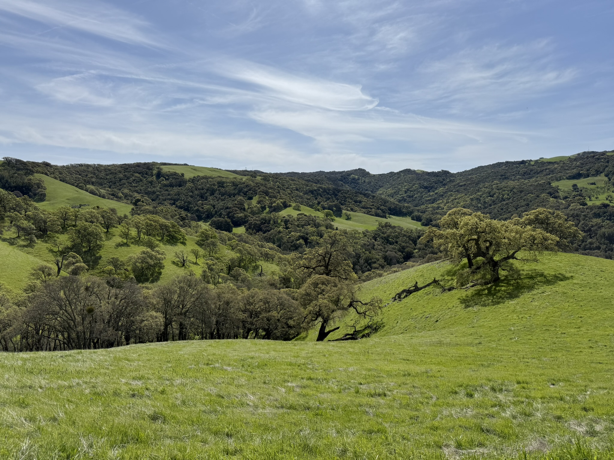 Morgan Territory Regional Preserve
