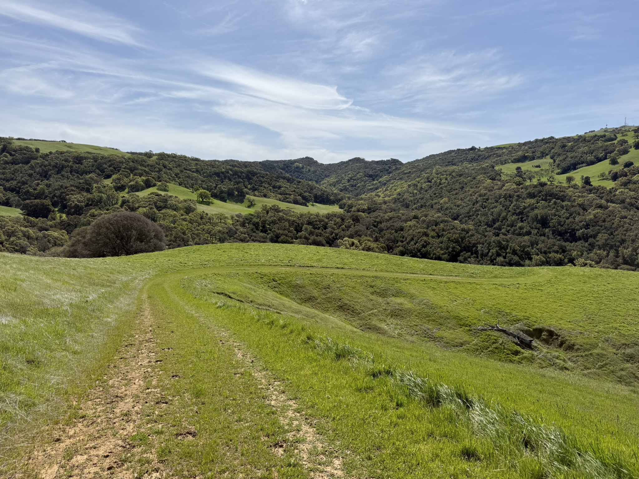Morgan Territory Regional Preserve