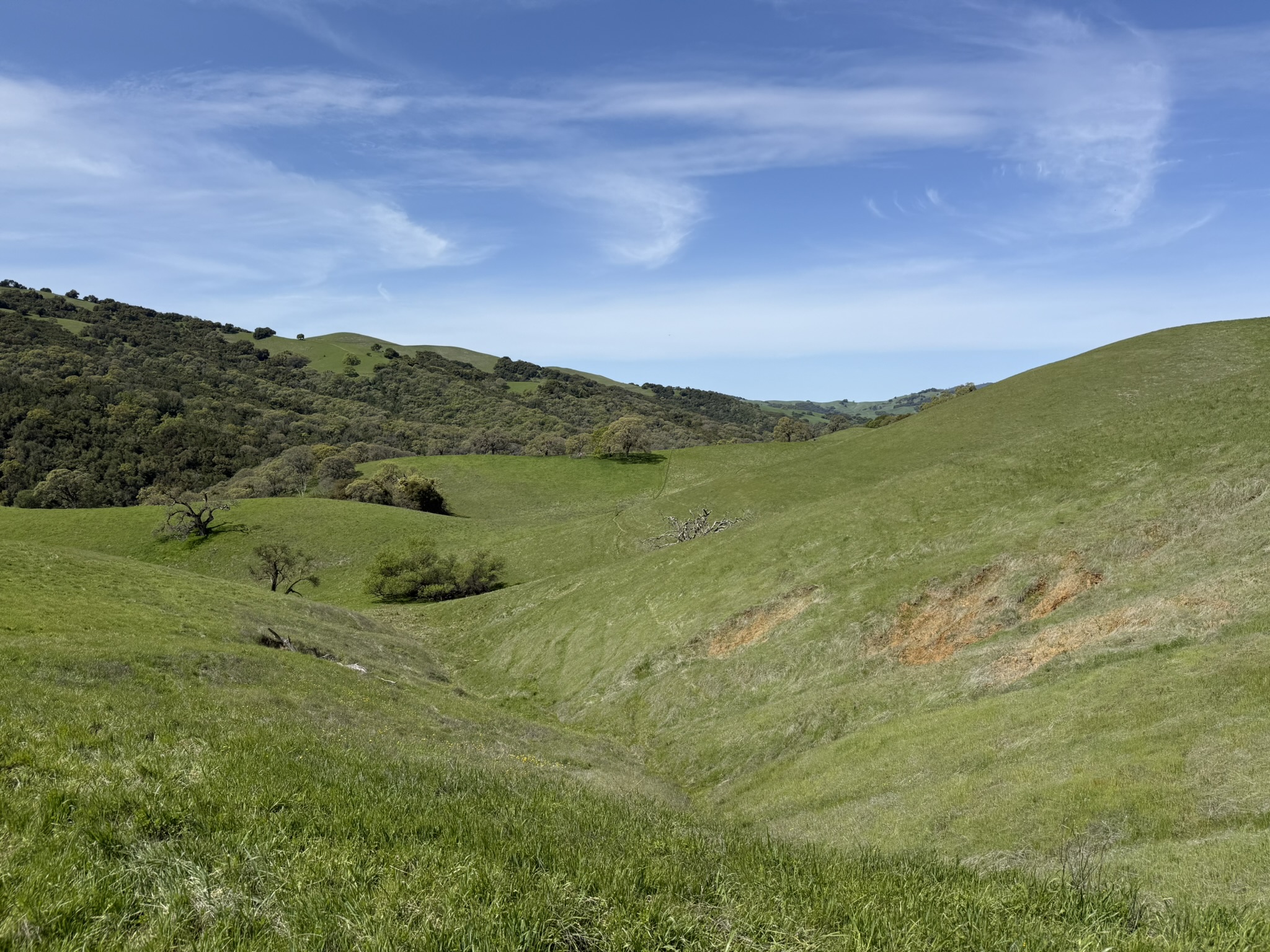 Morgan Territory Regional Preserve