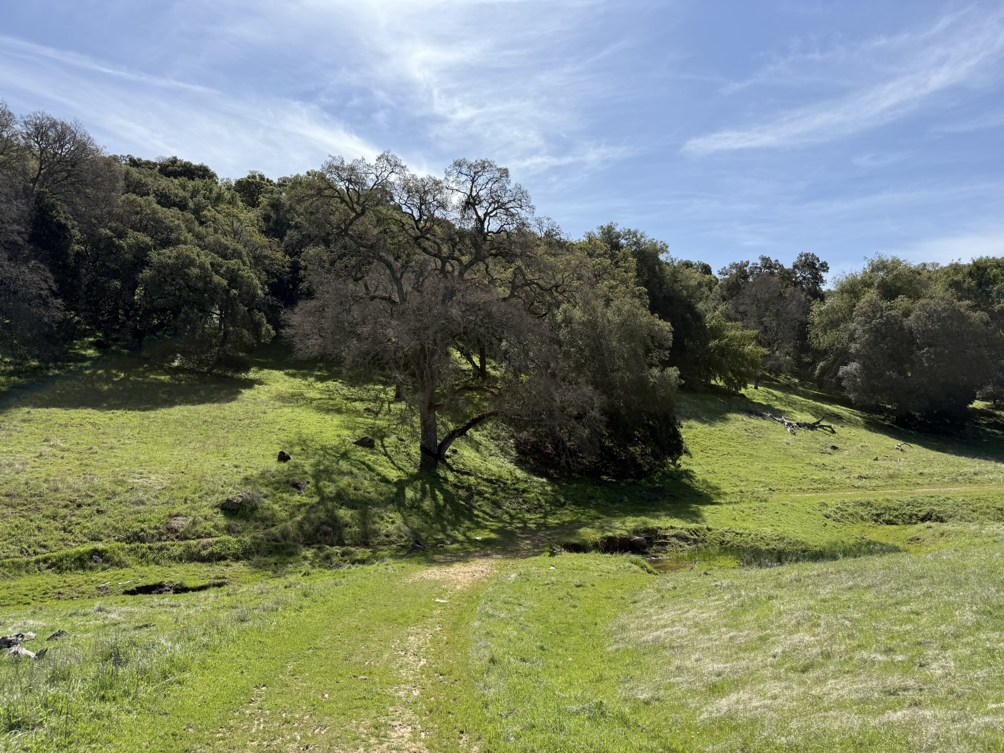 Morgan Territory Regional Preserve