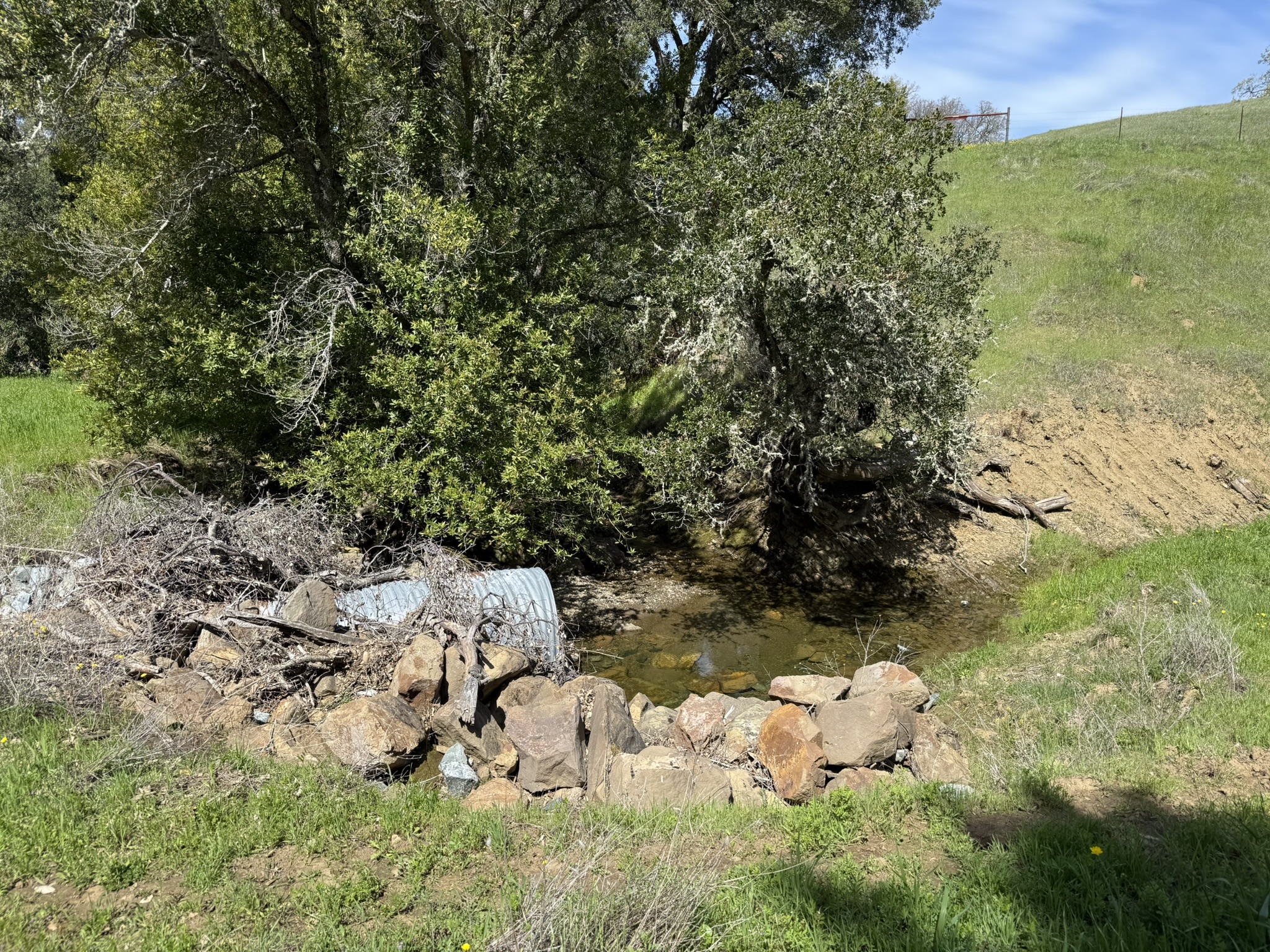 Morgan Territory Regional Preserve