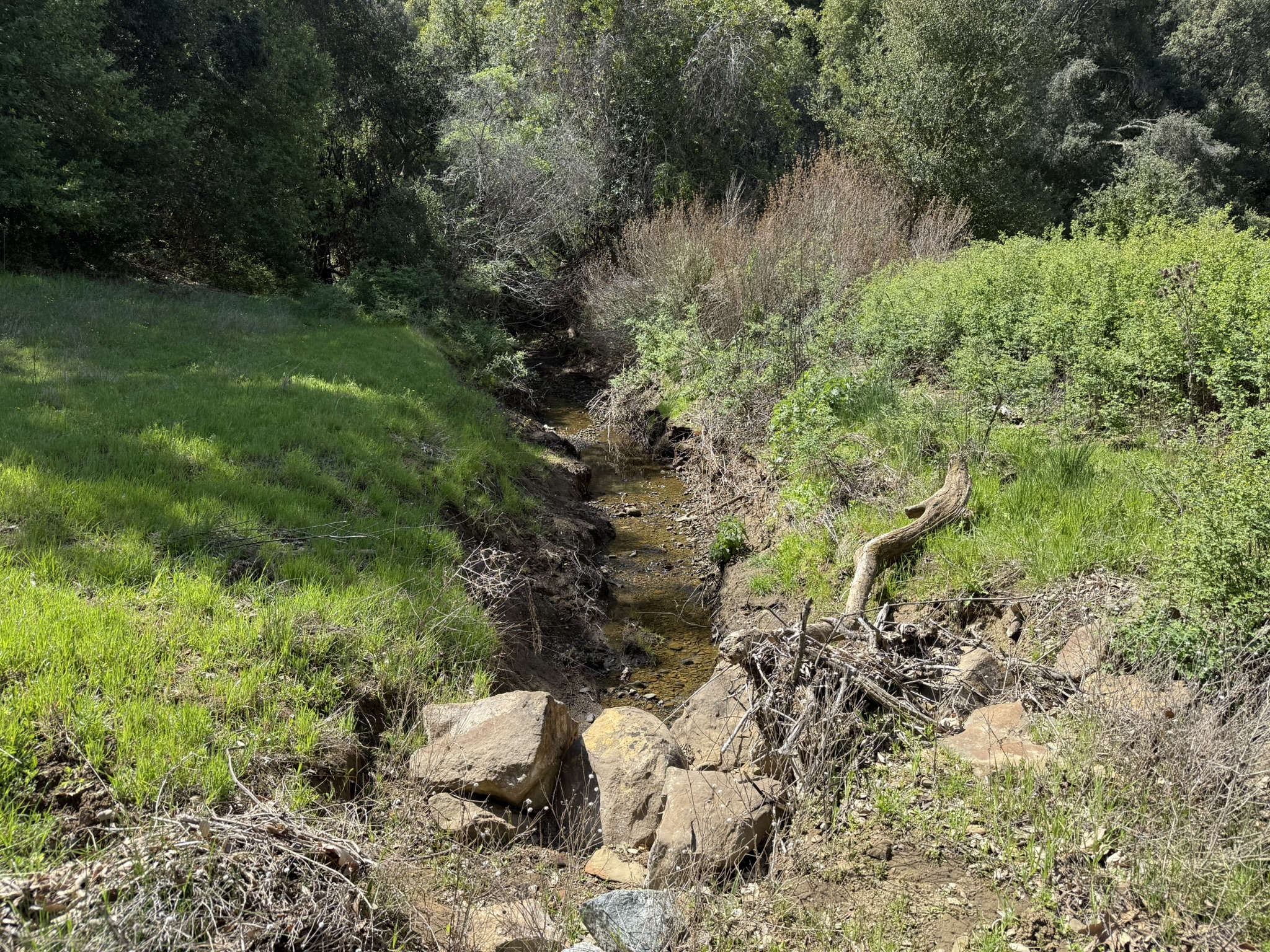 Morgan Territory Regional Preserve