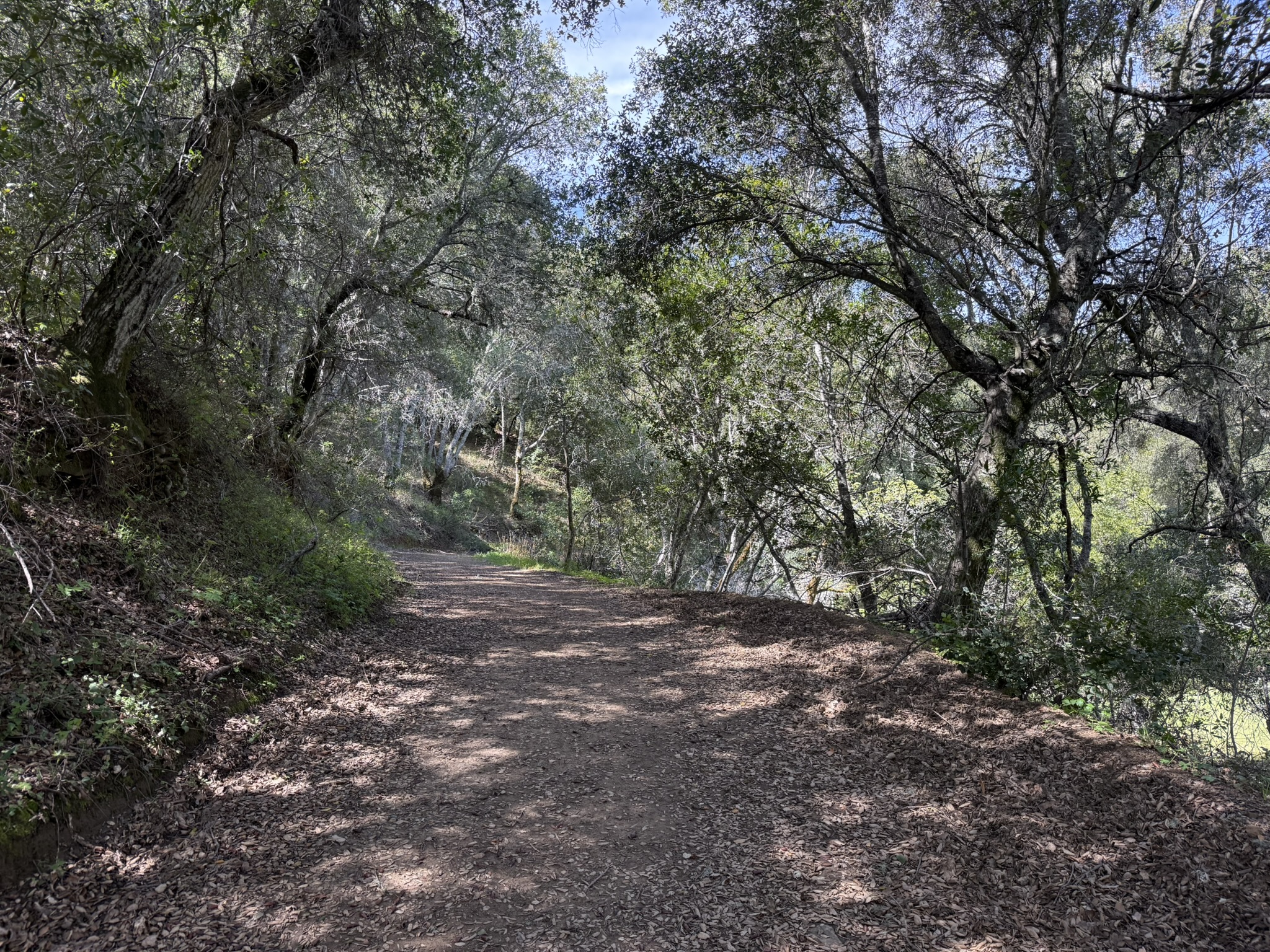 Morgan Territory Regional Preserve