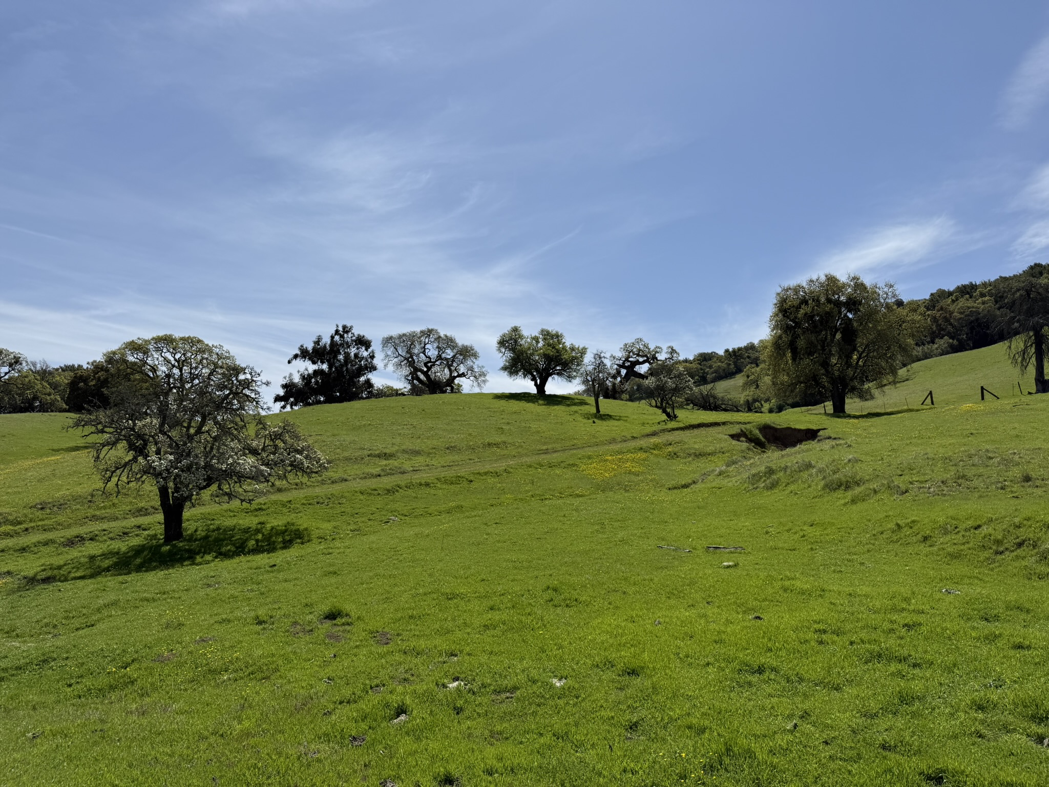 Morgan Territory Regional Preserve