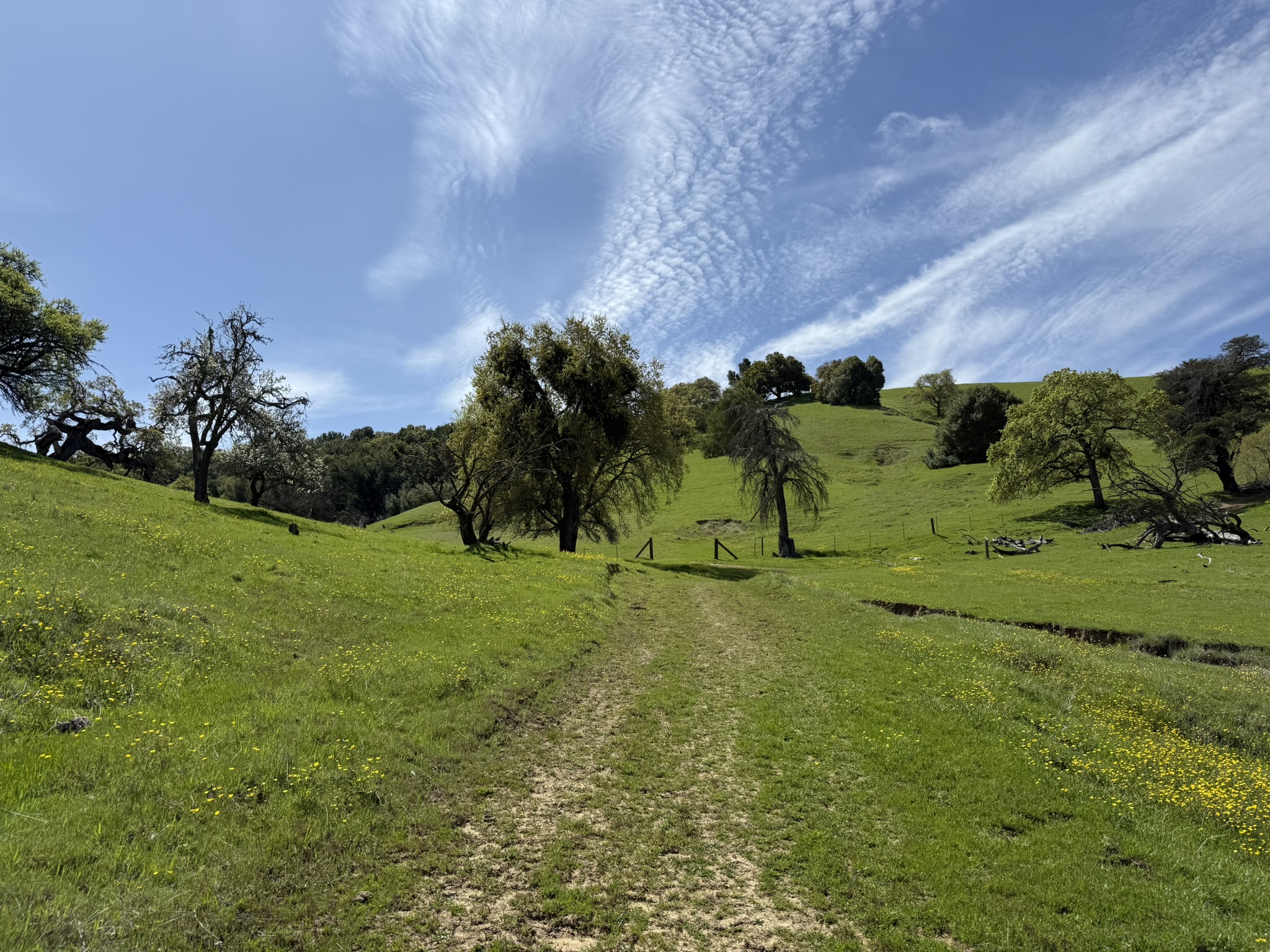 Morgan Territory Regional Preserve