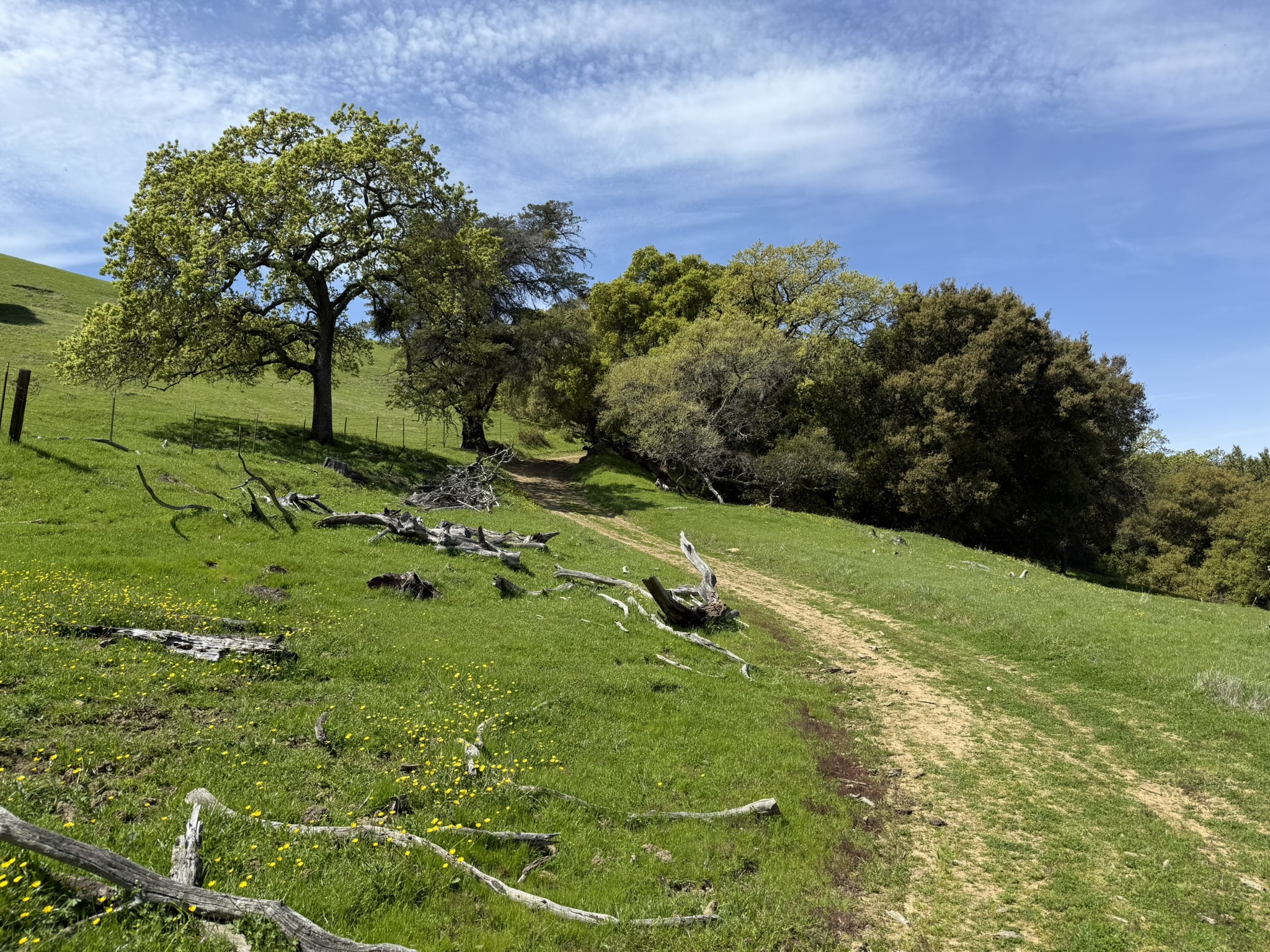 Morgan Territory Regional Preserve