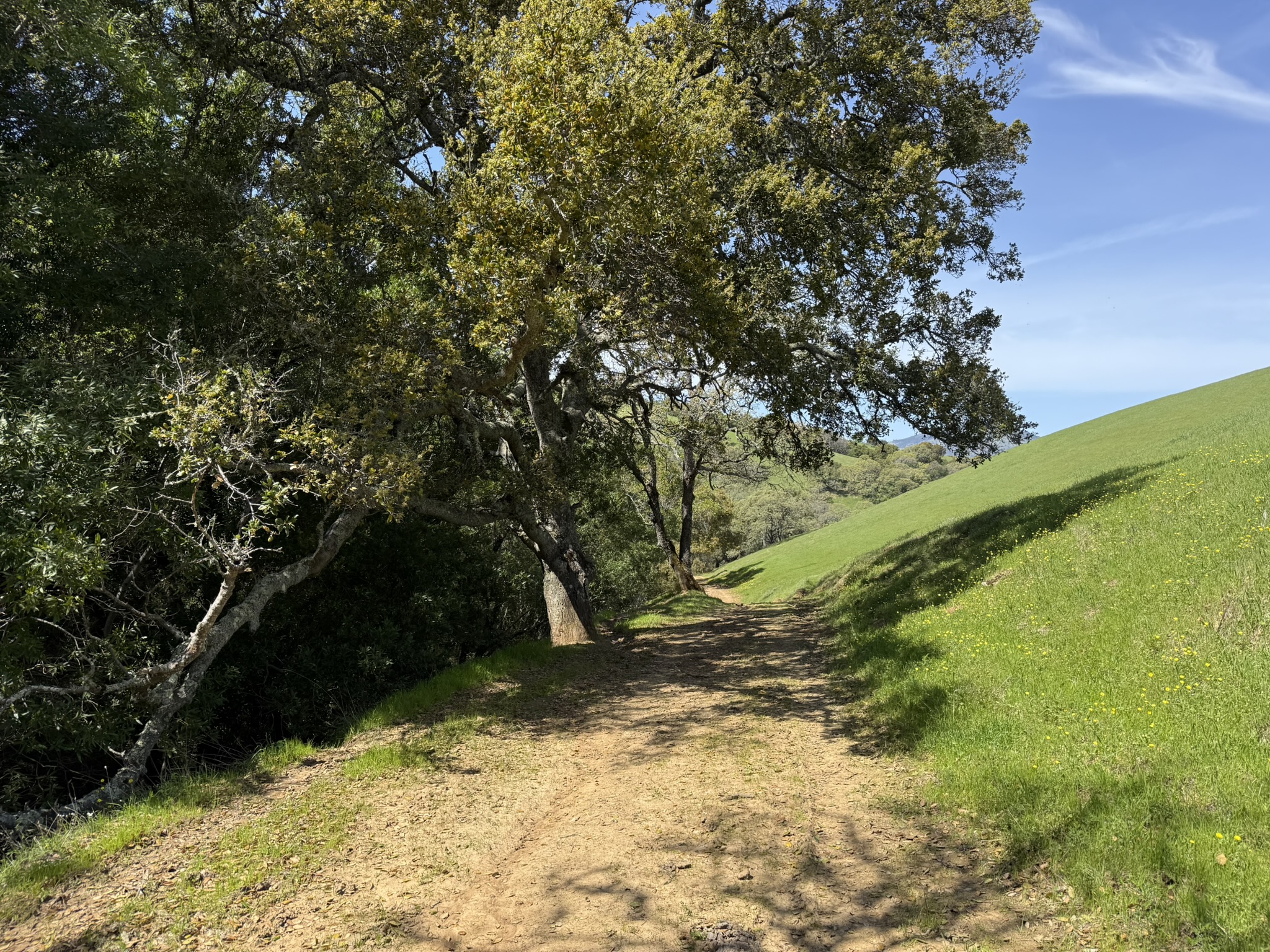 Morgan Territory Regional Preserve
