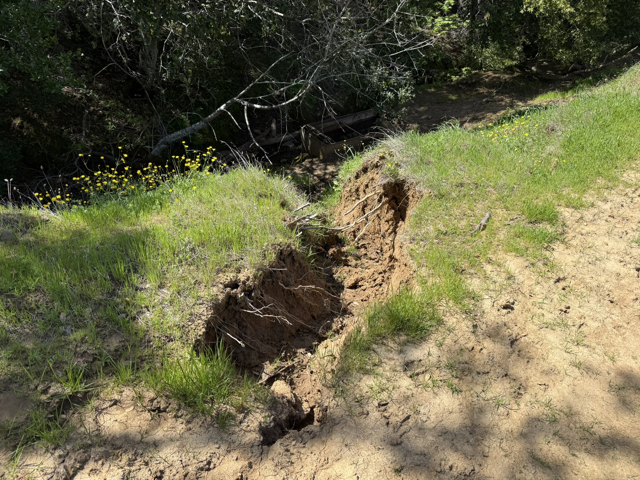 Morgan Territory Regional Preserve